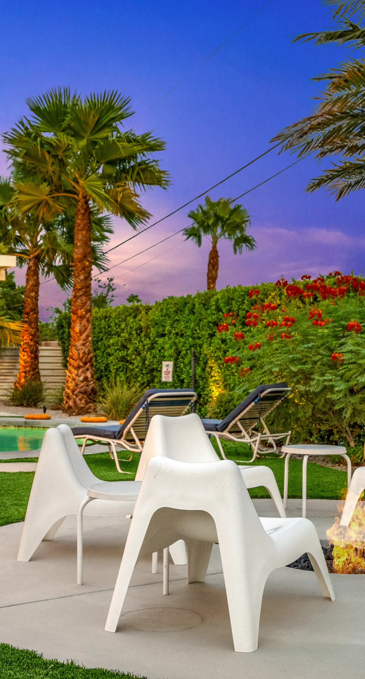 Desert Drip Palm Springs