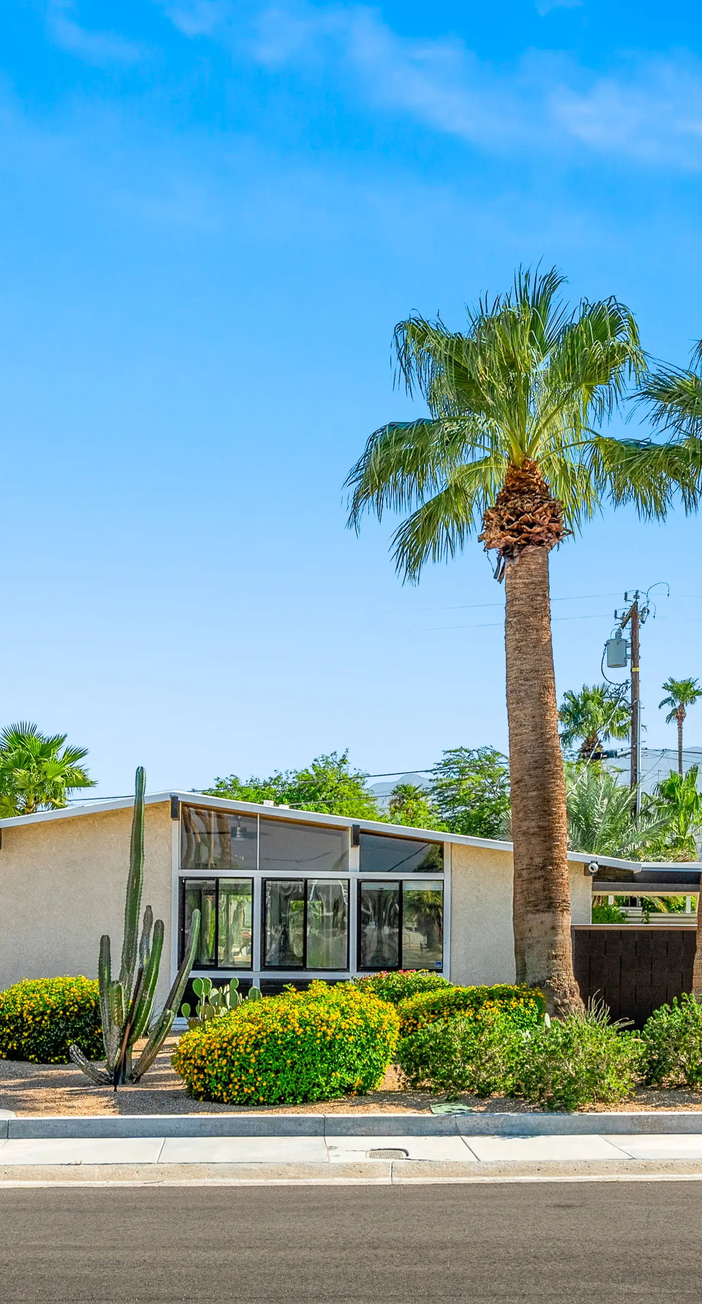 Desert Drip Palm Springs