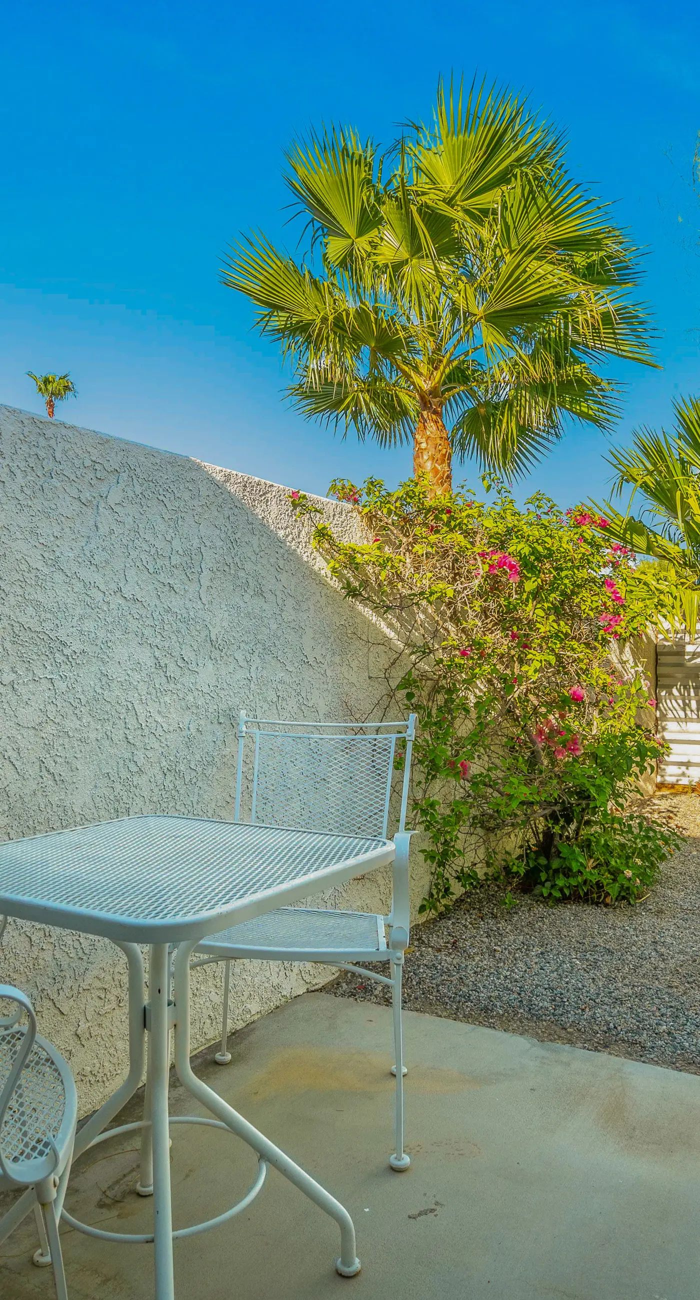 Desert Drip Palm Springs