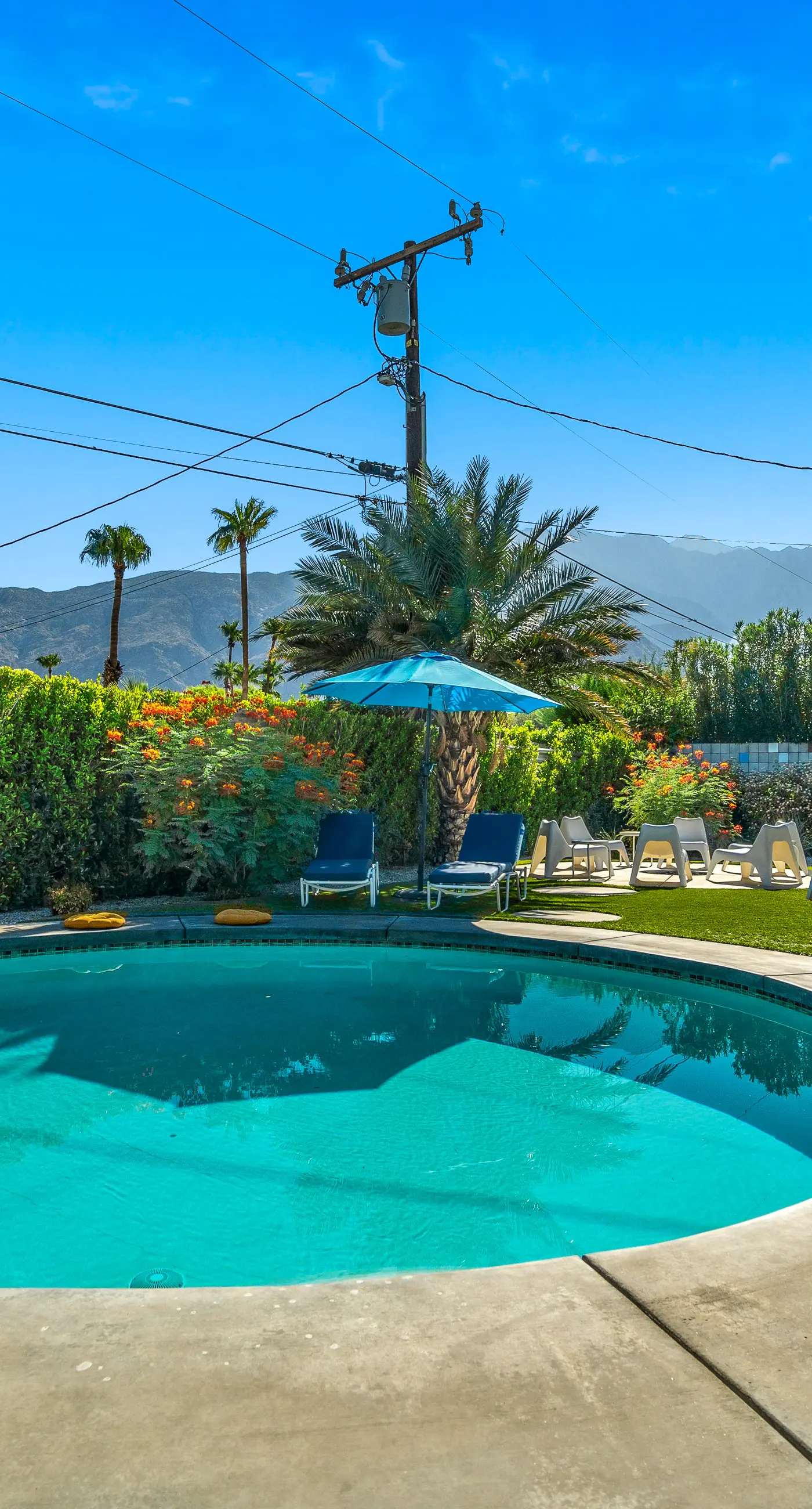 Desert Drip Palm Springs