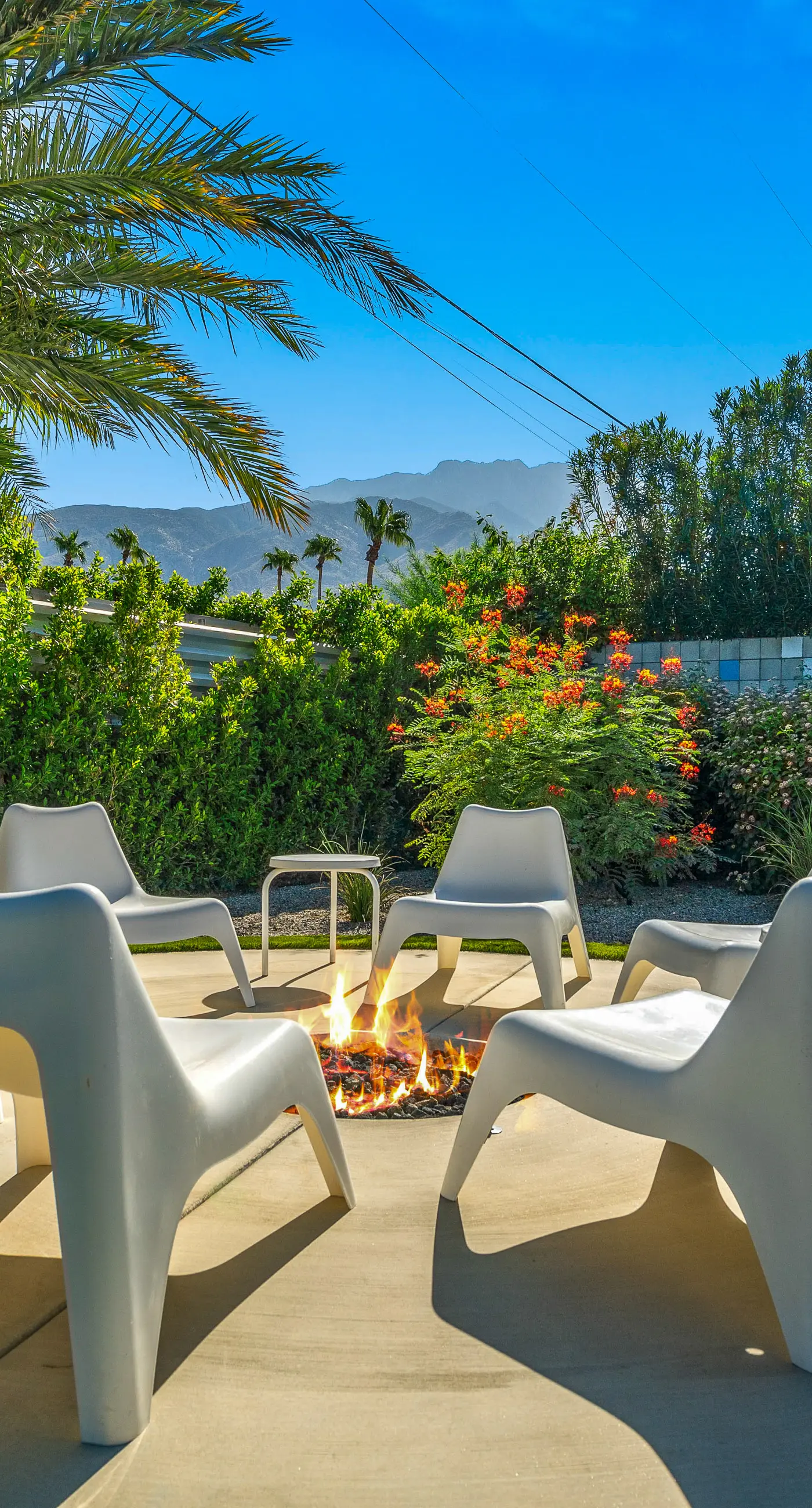 Desert Drip Palm Springs