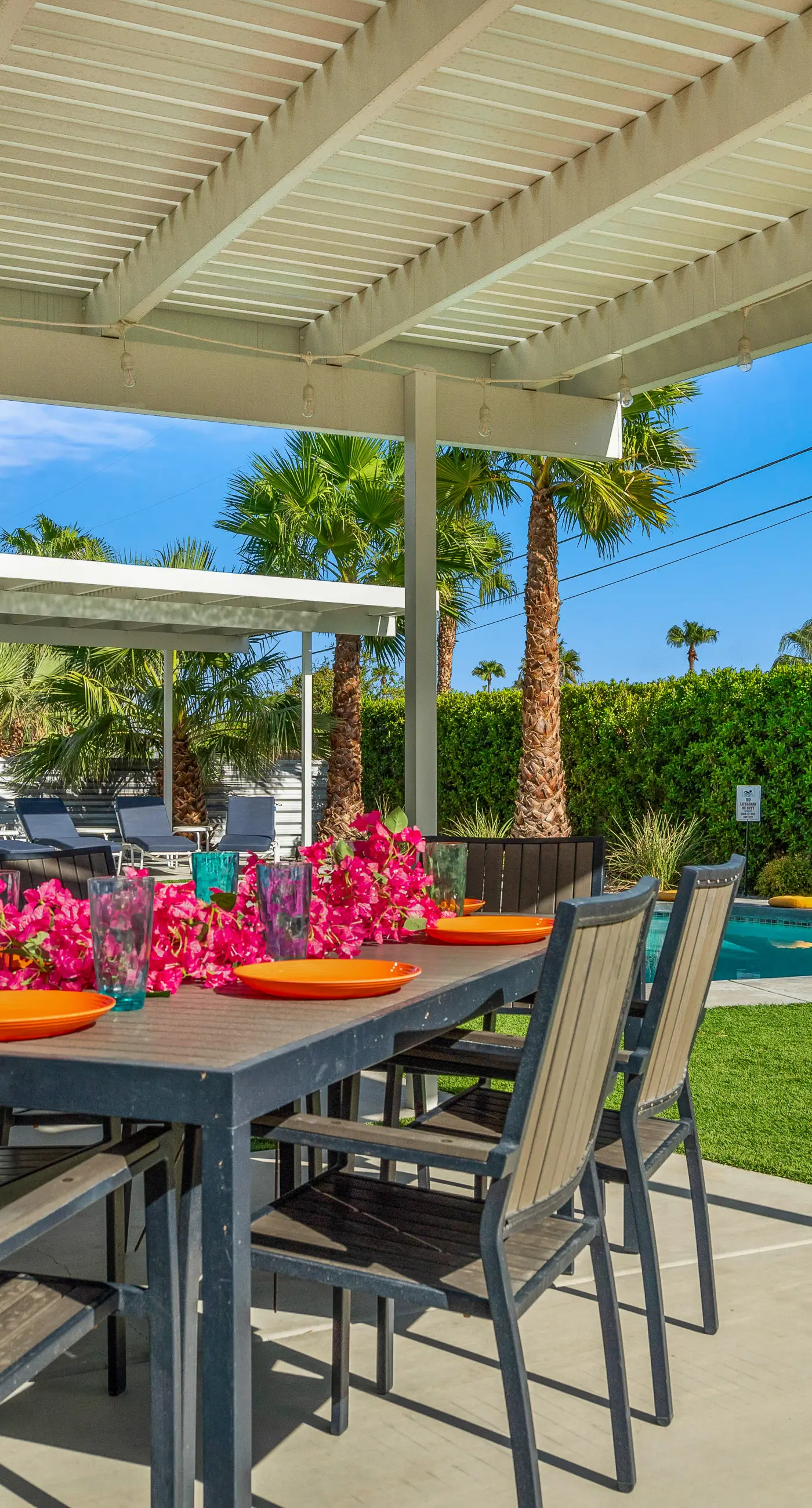 Desert Drip Palm Springs