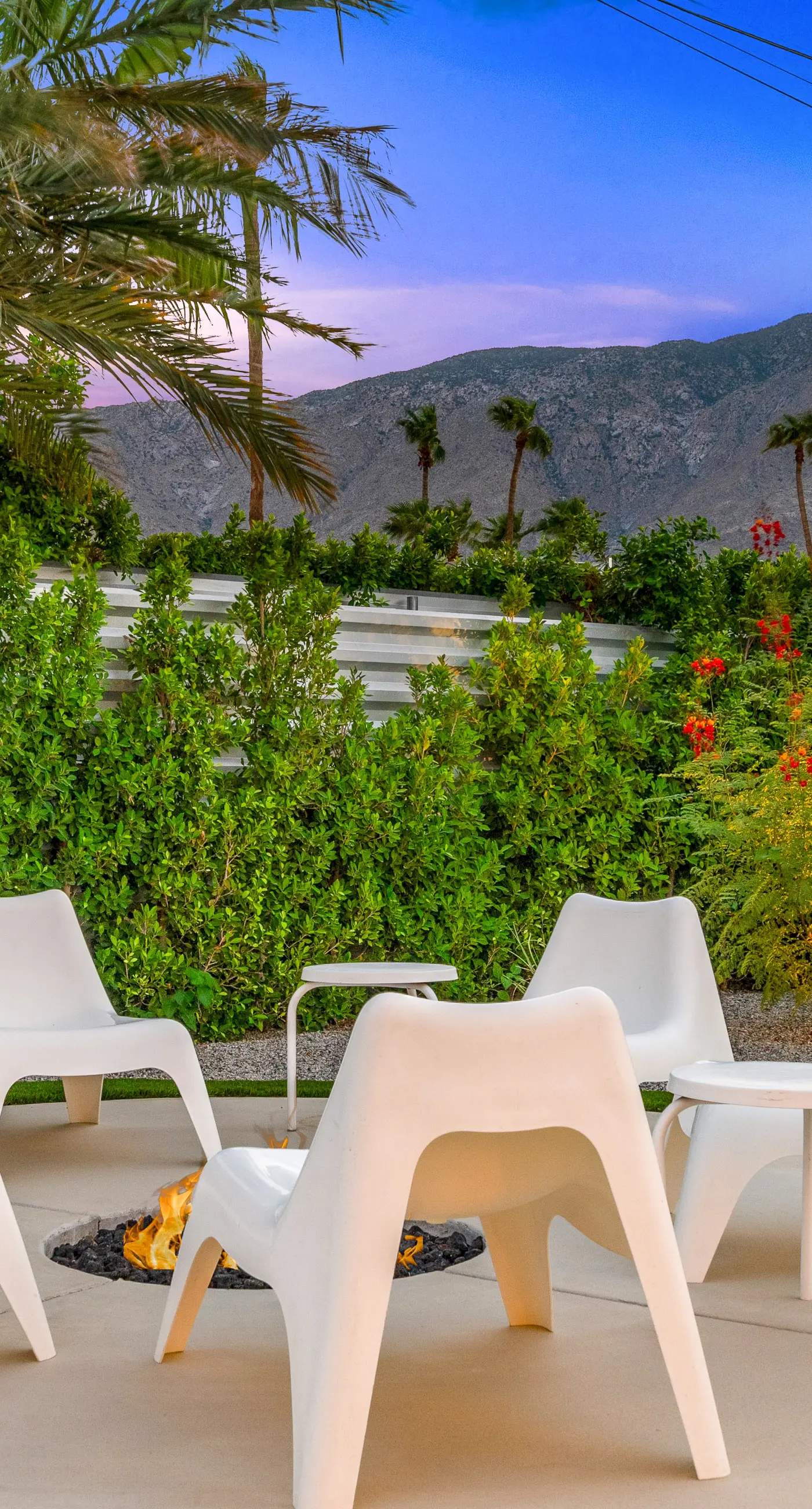 Desert Drip Palm Springs