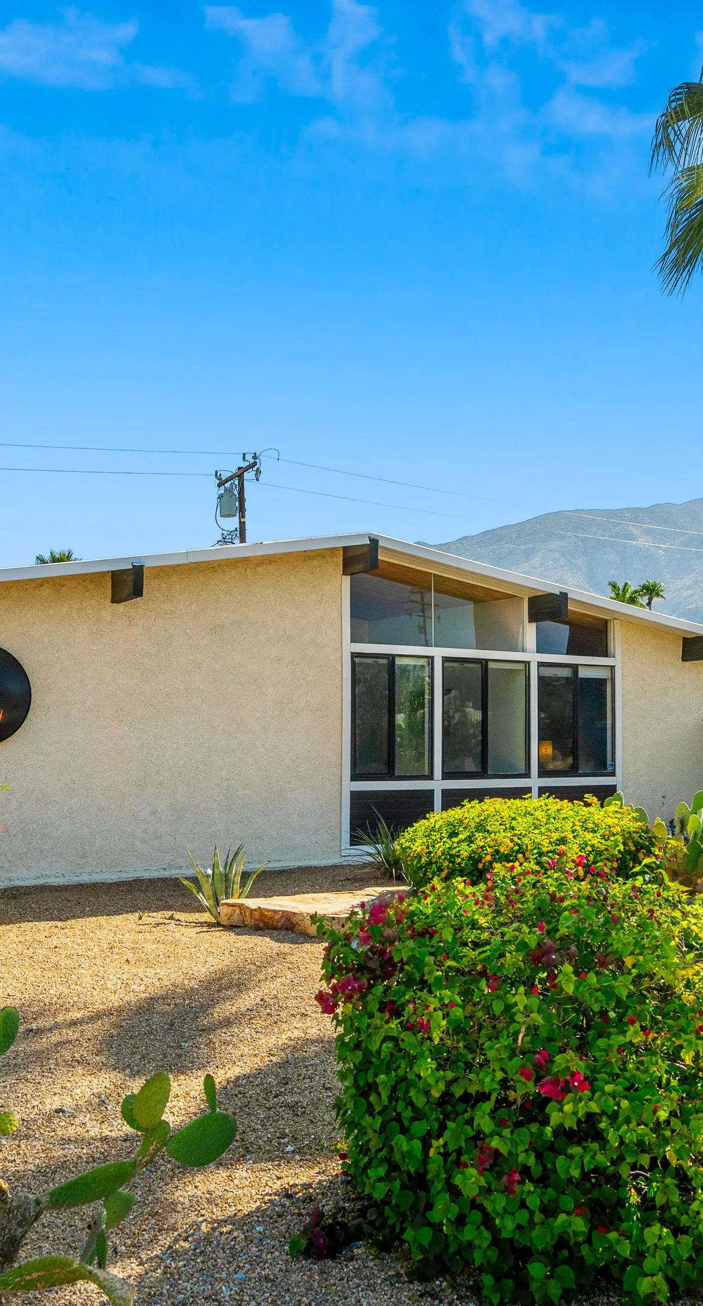 Desert Drip Palm Springs