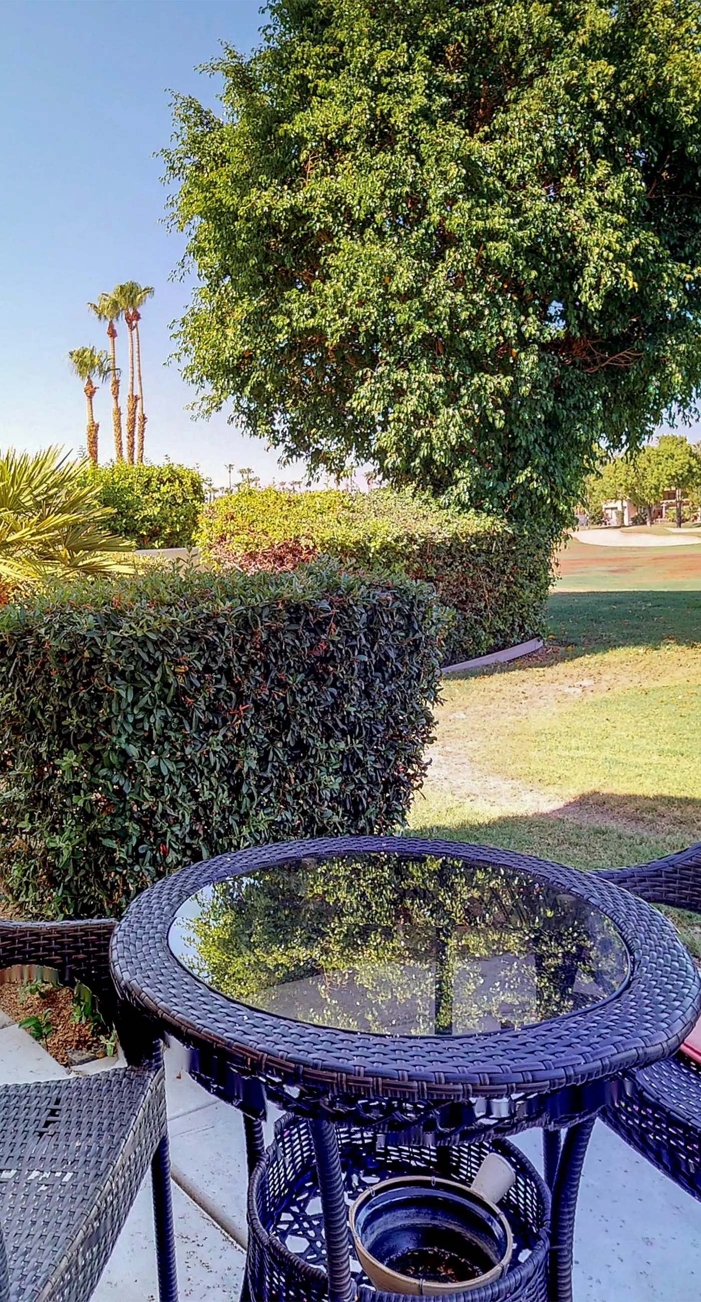 Tanglewood Terrace
