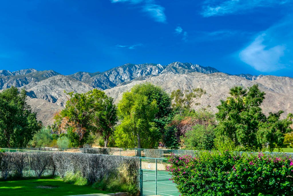 Modern palm-surrounded condo with mtn views, heated pool, & AC - dog-friendly