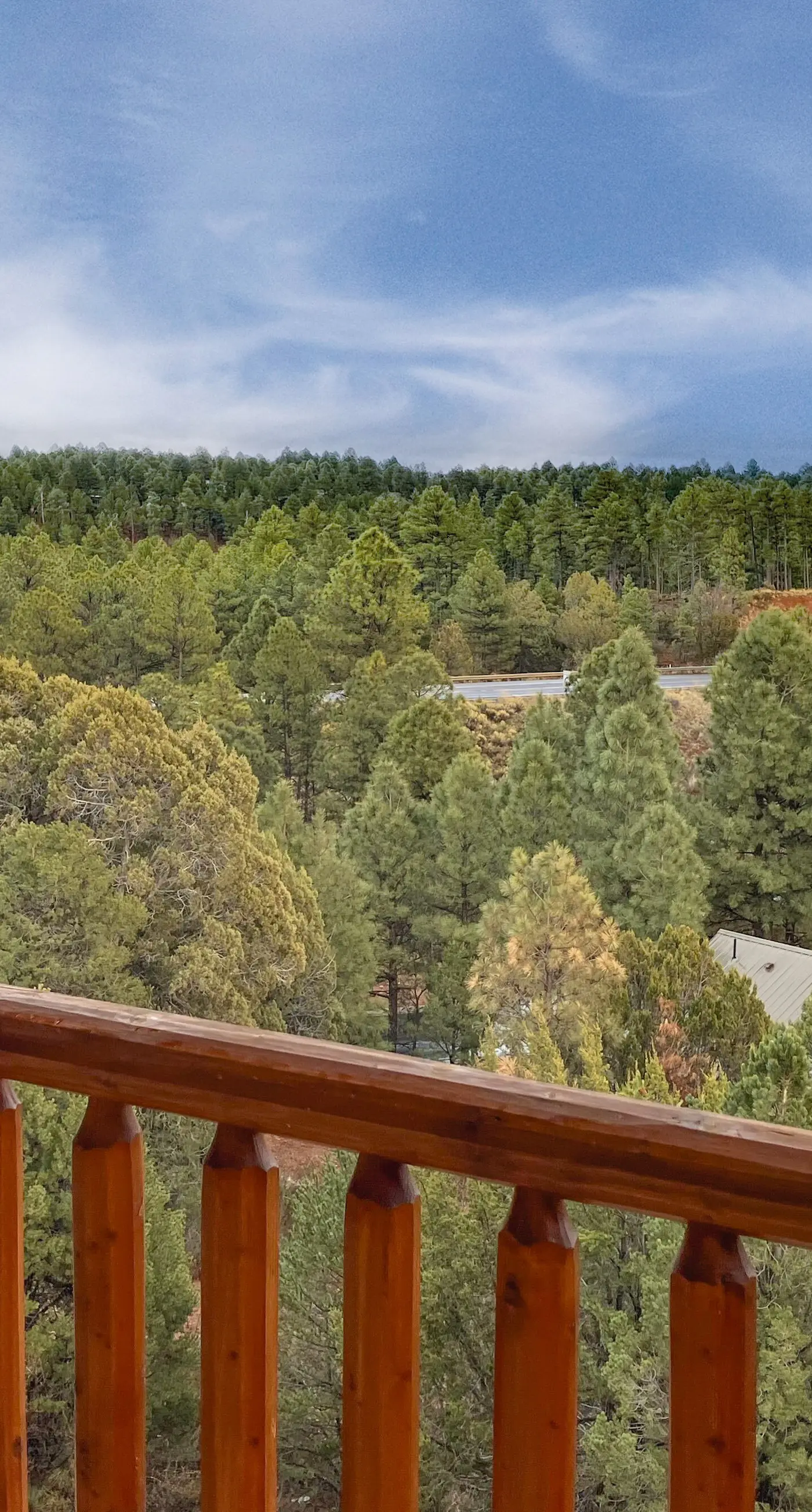 Ridgetop Retreat - Unit A9