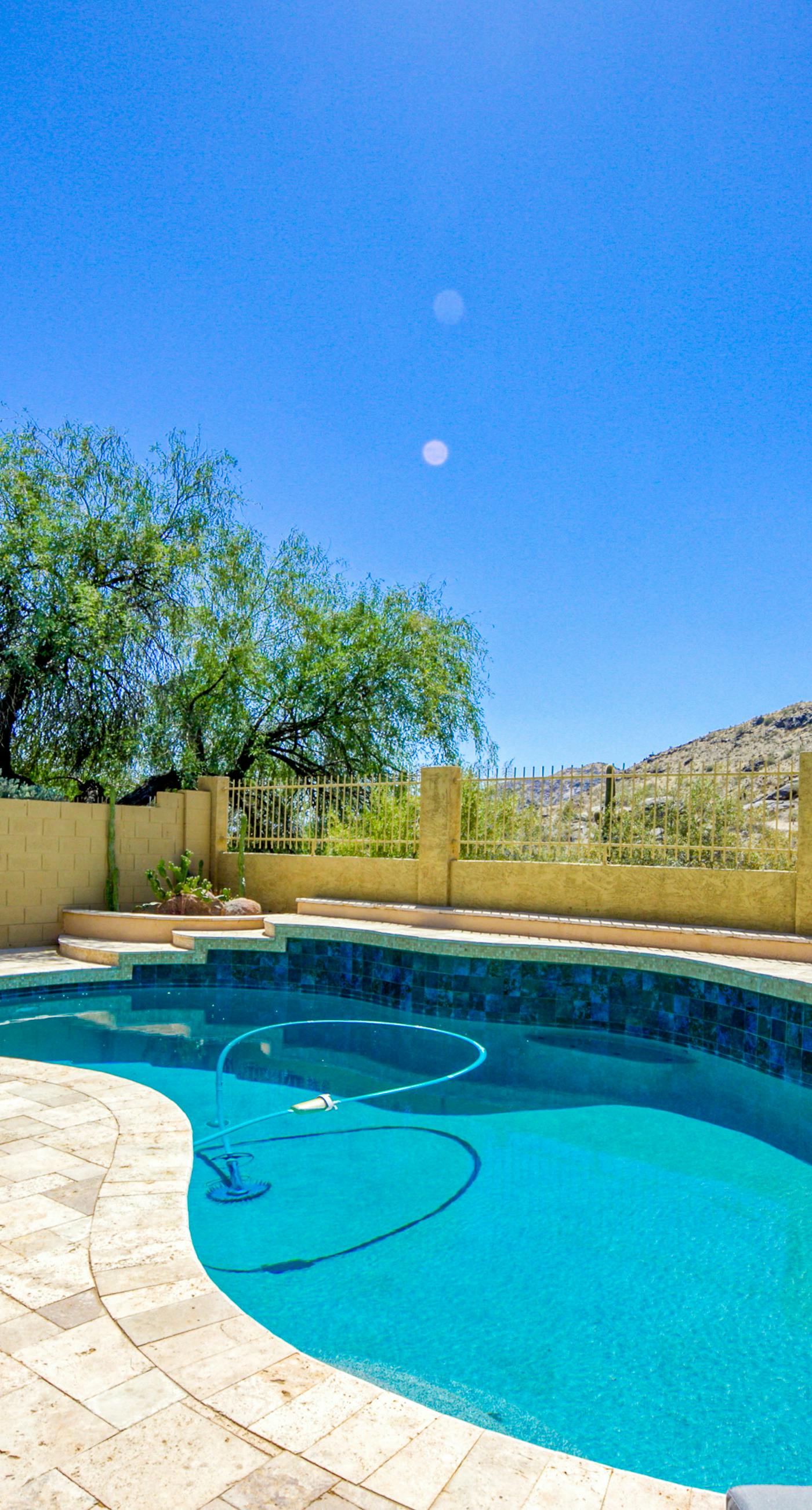 South Mountain Saguaro Siesta