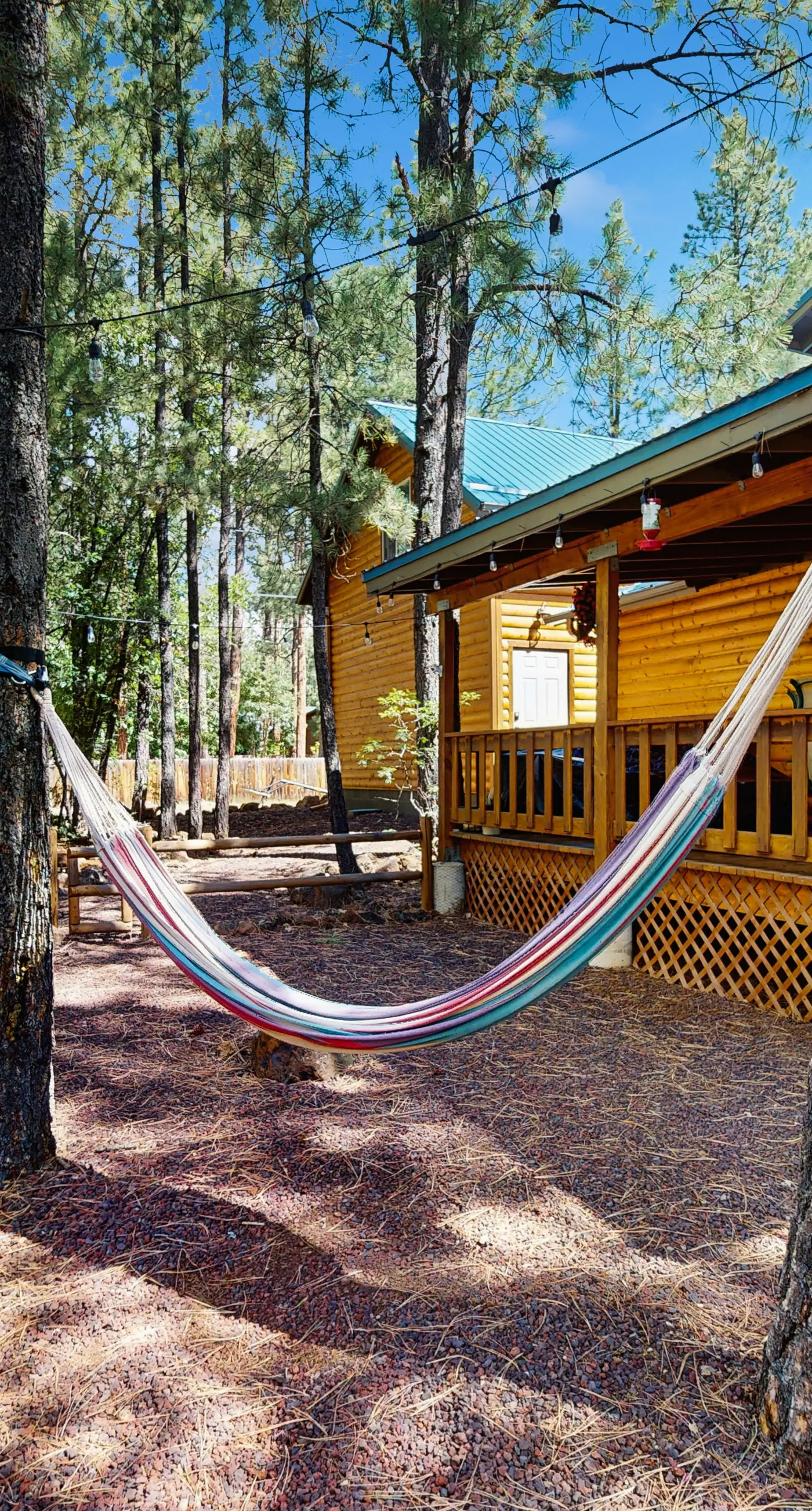 Dam Fun Cabin