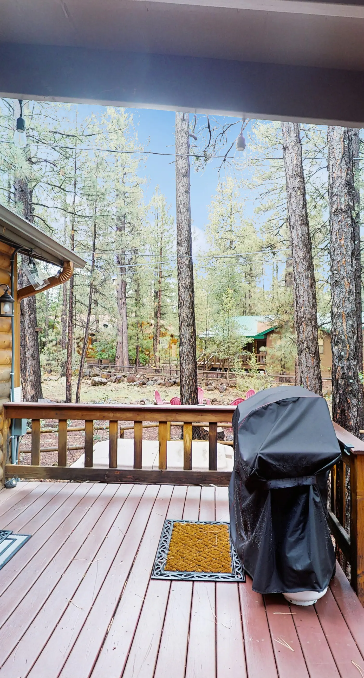Dam Fun Cabin