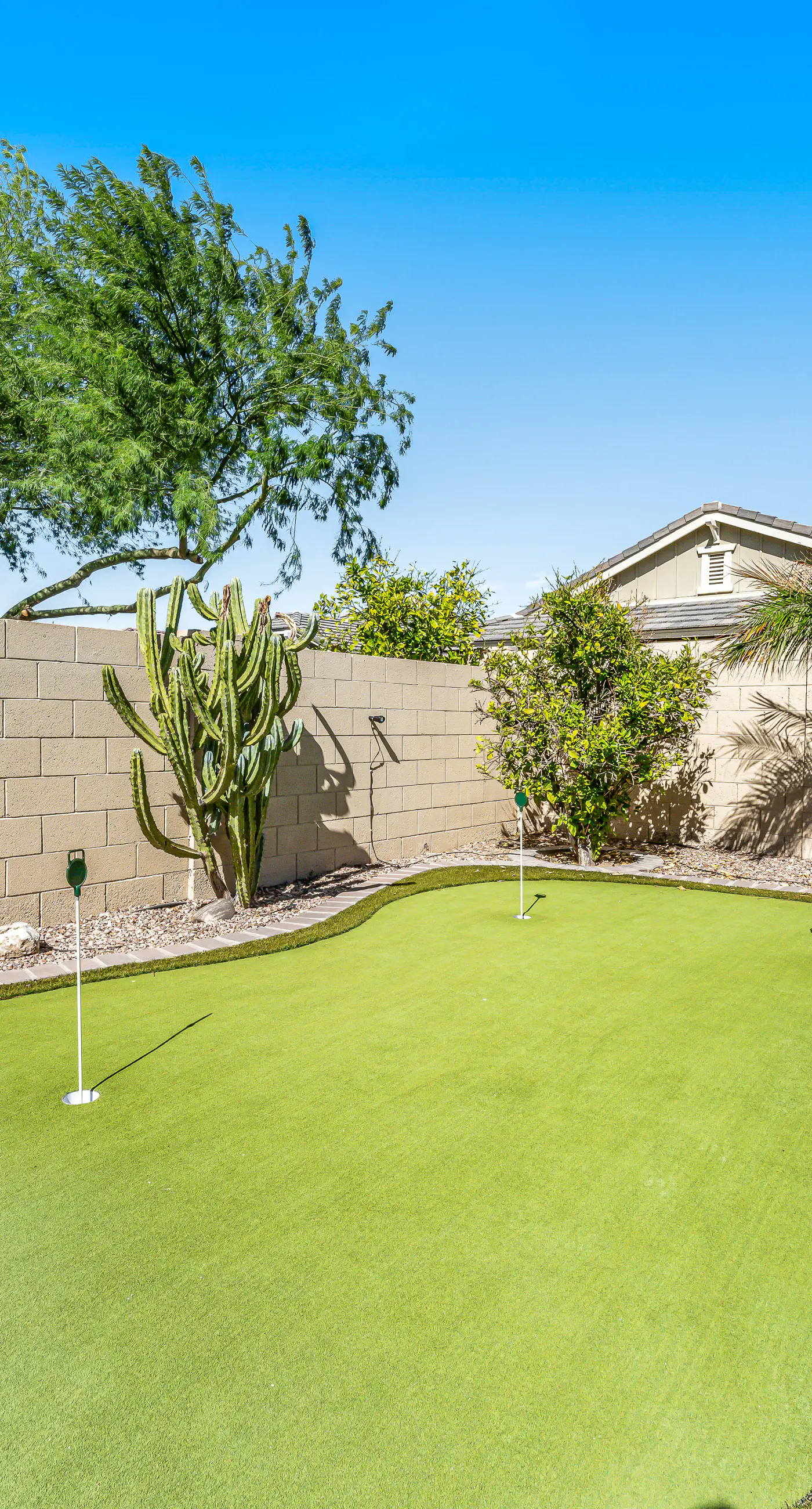 Good Times in Goodyear