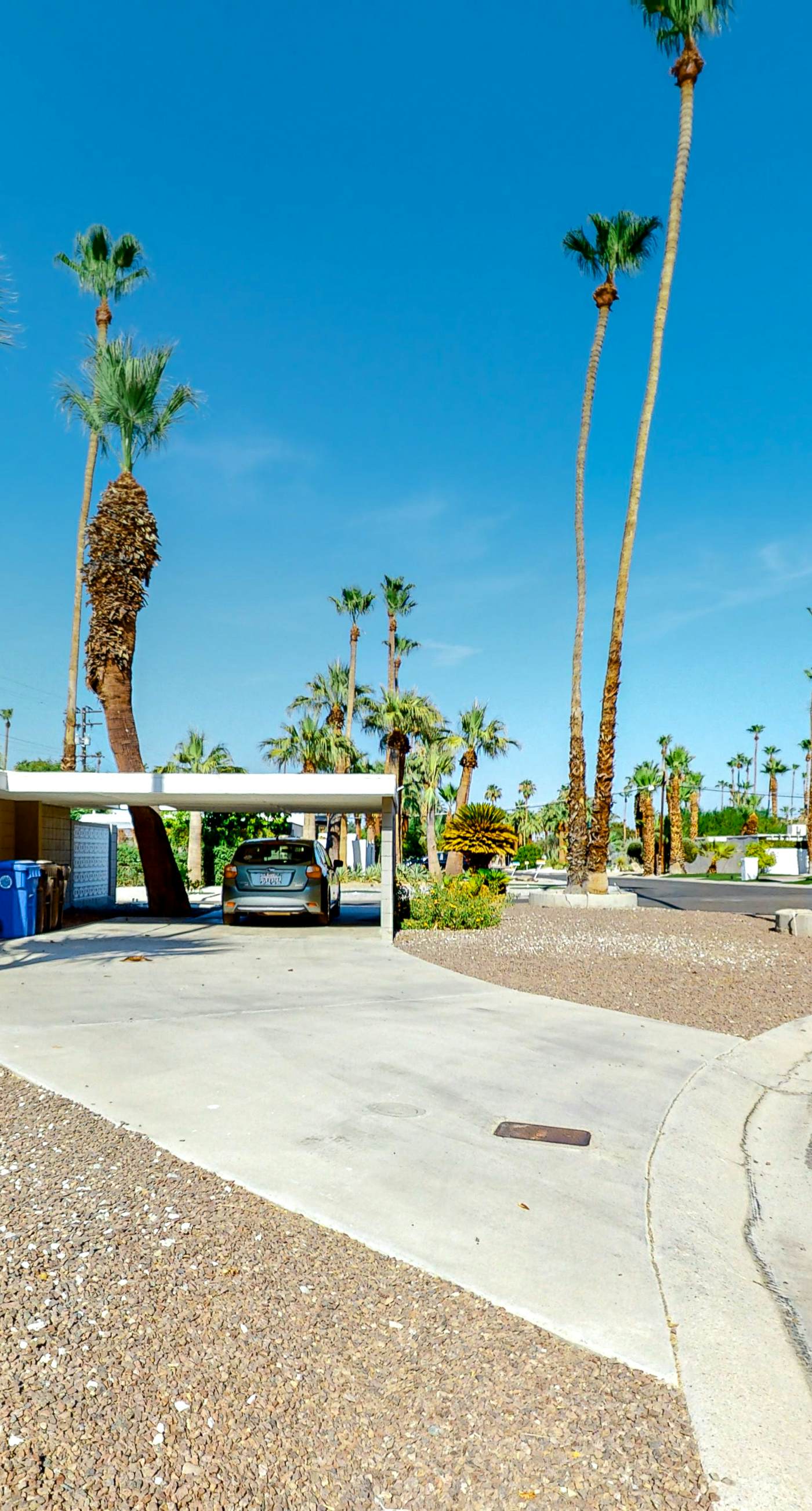 The Arrow of Twin Palms - Midcentury Alexander - 3505