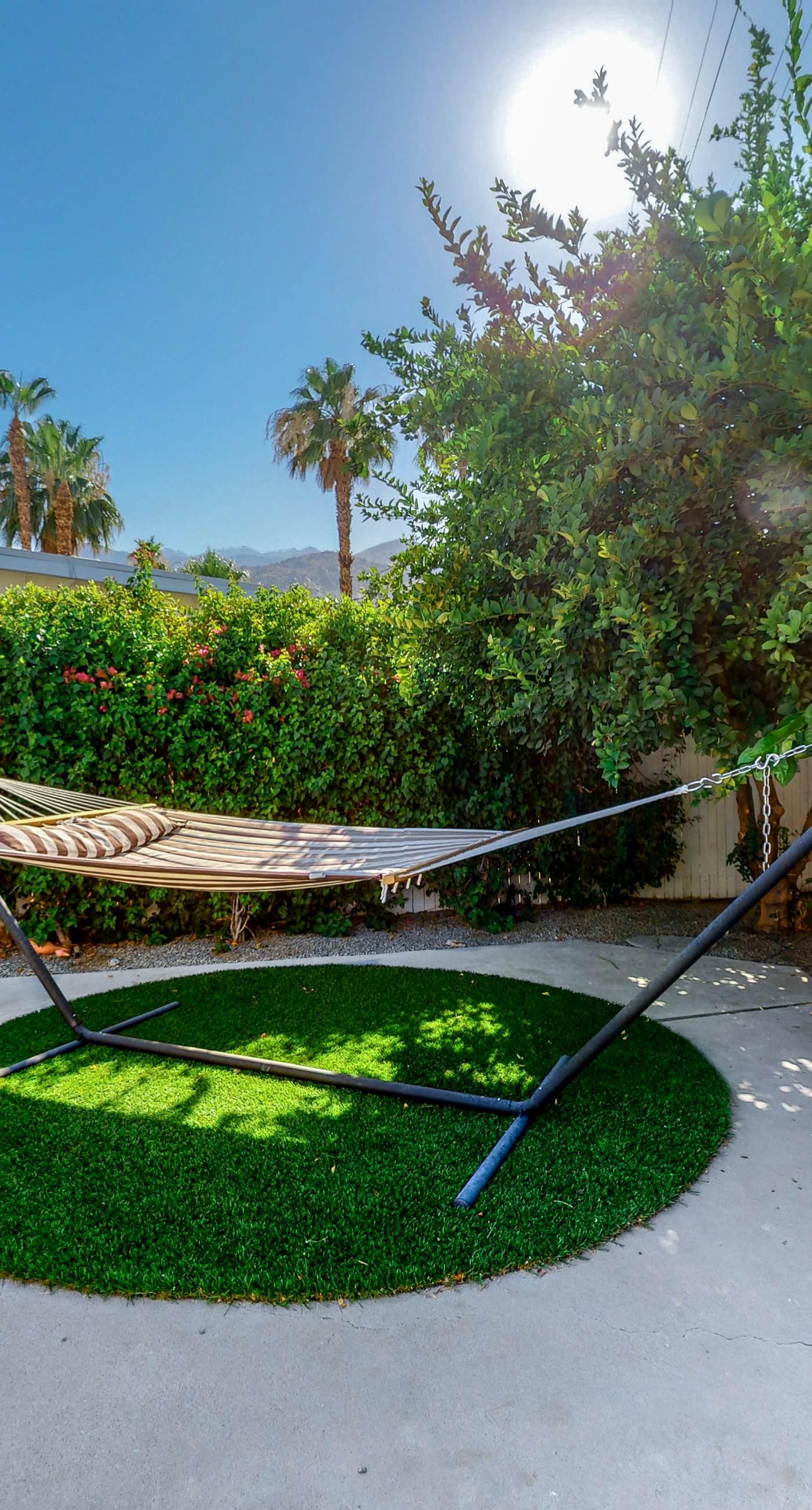 The Arrow of Twin Palms - Midcentury Alexander - 3505