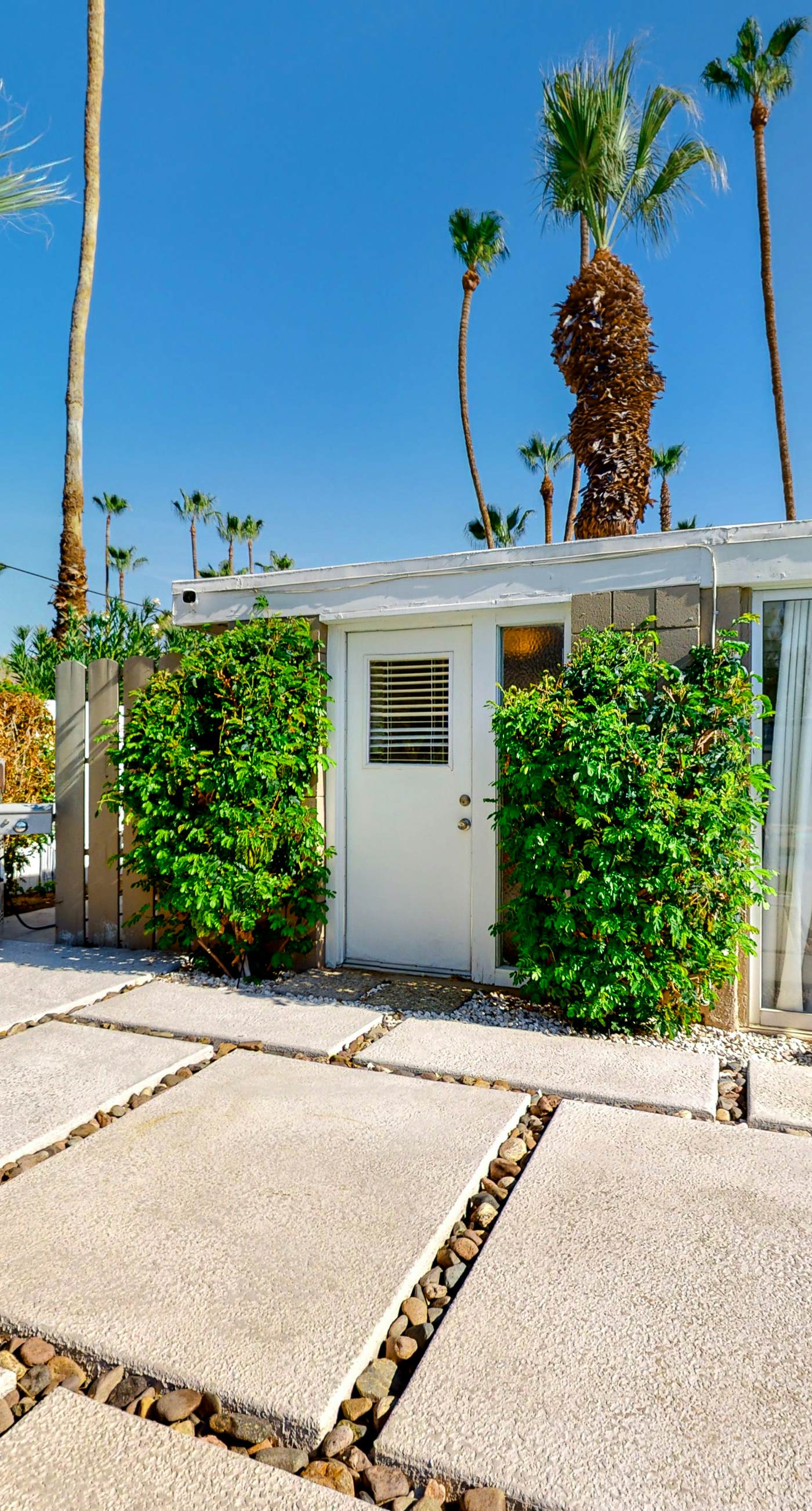 The Arrow of Twin Palms - Midcentury Alexander - 3505