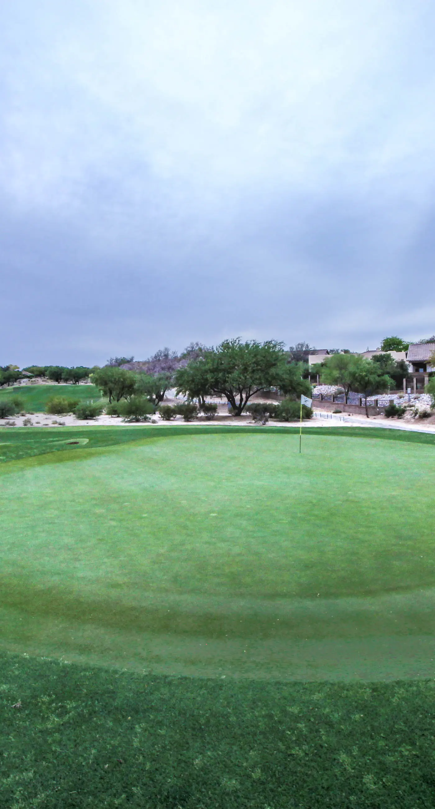 Tucson National #2428