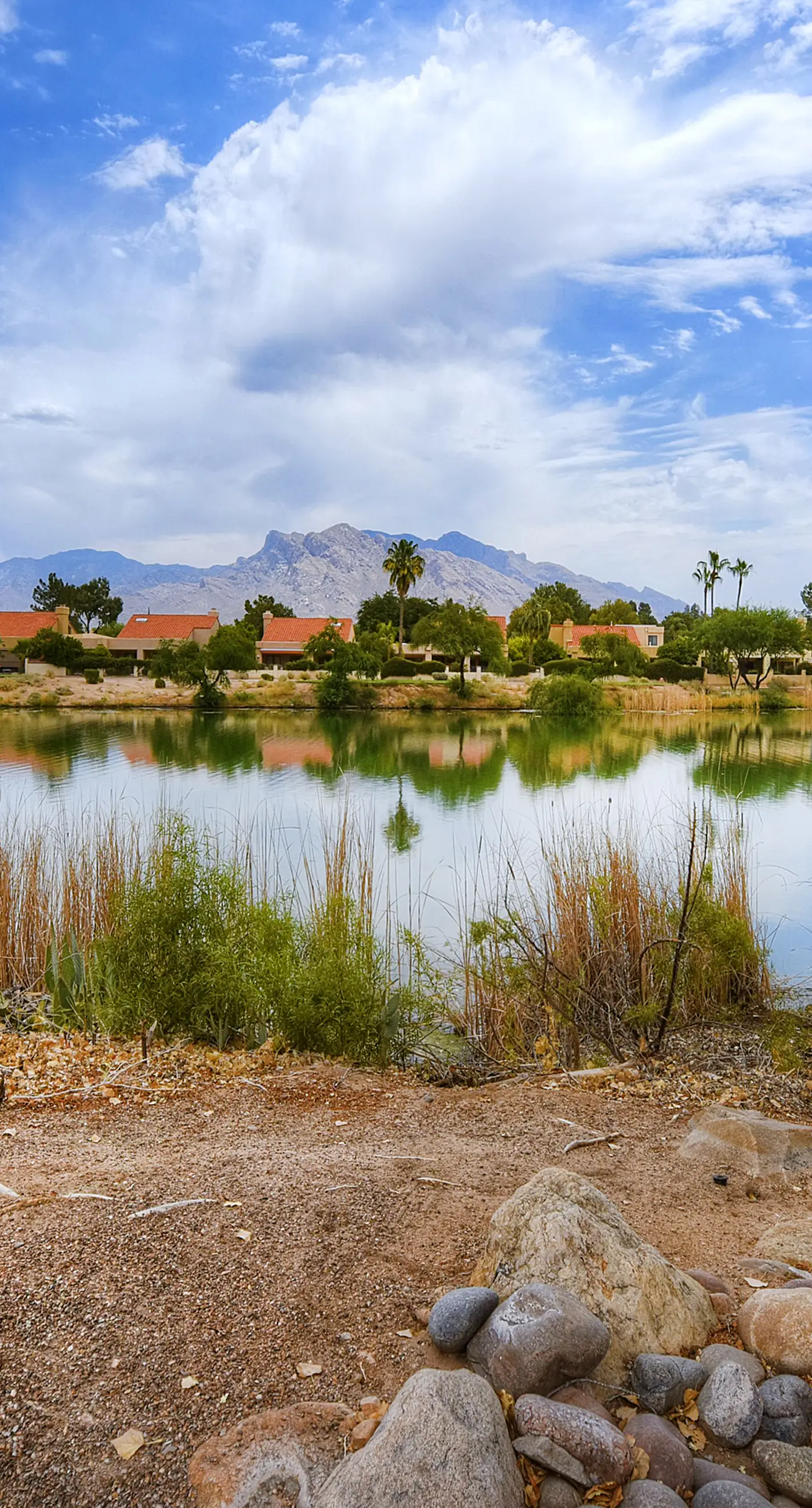 Tucson National #2428