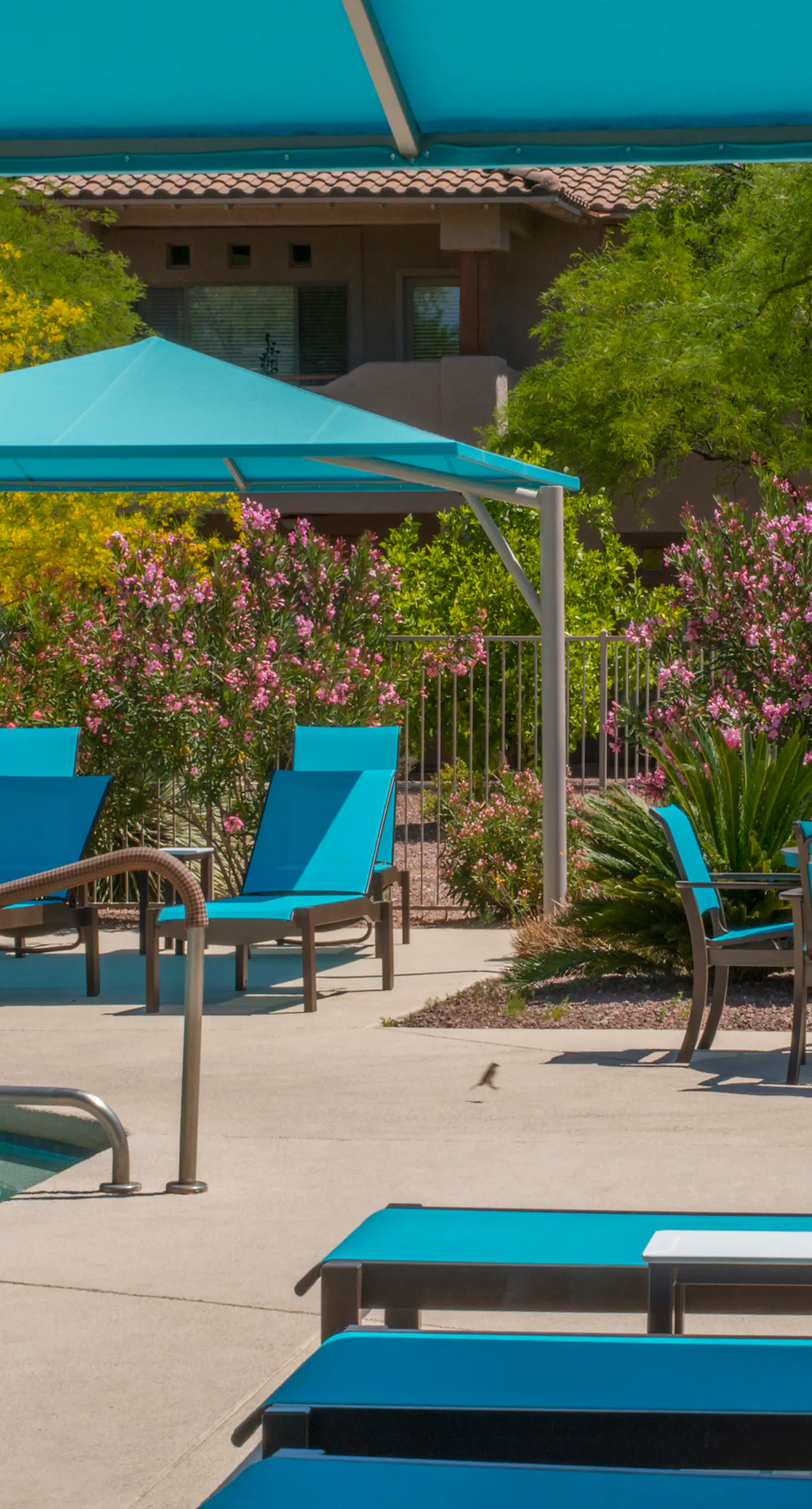 Vistoso Resort Casita #203