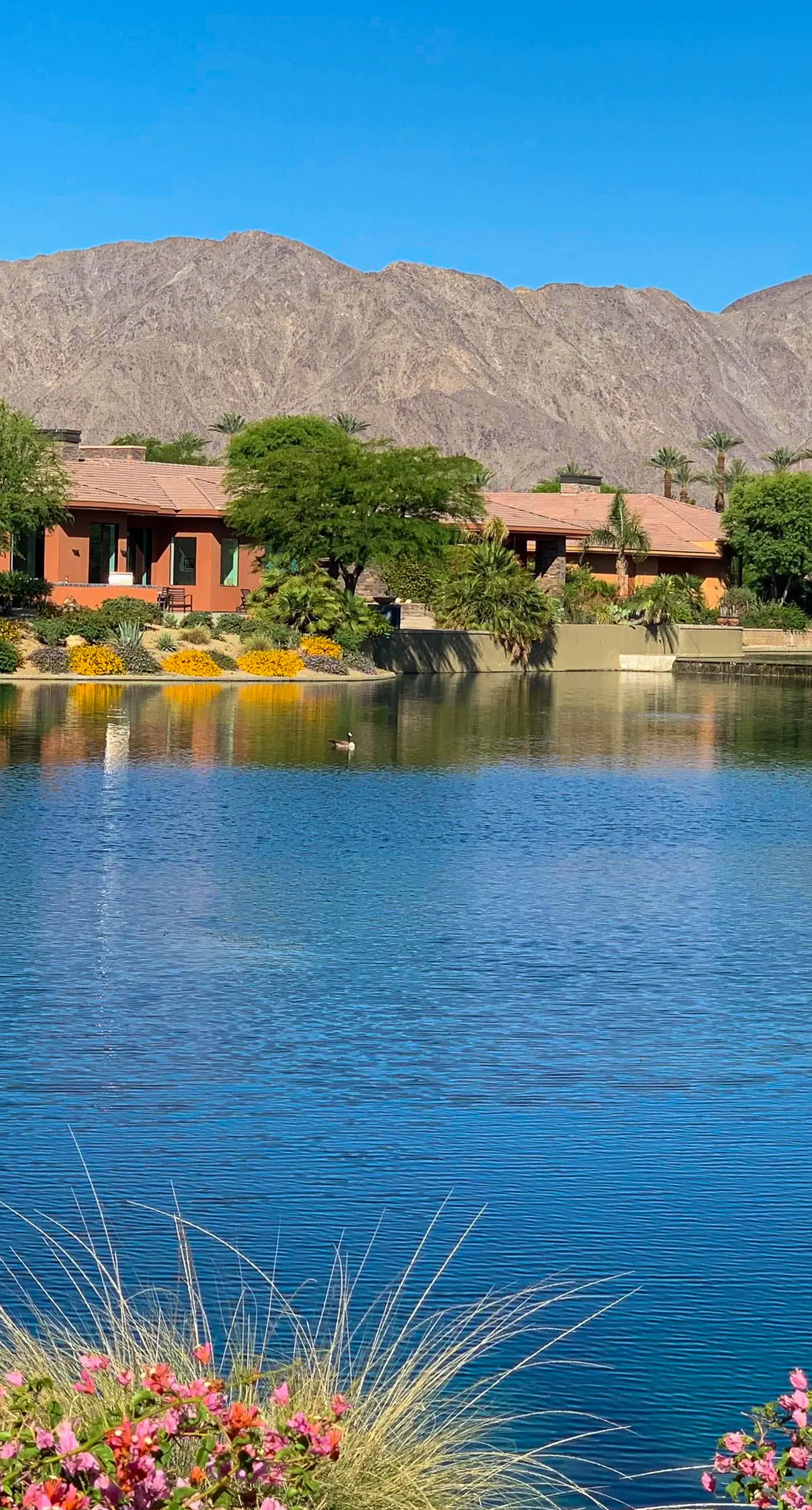Lakeside Luxe at Palmilla
