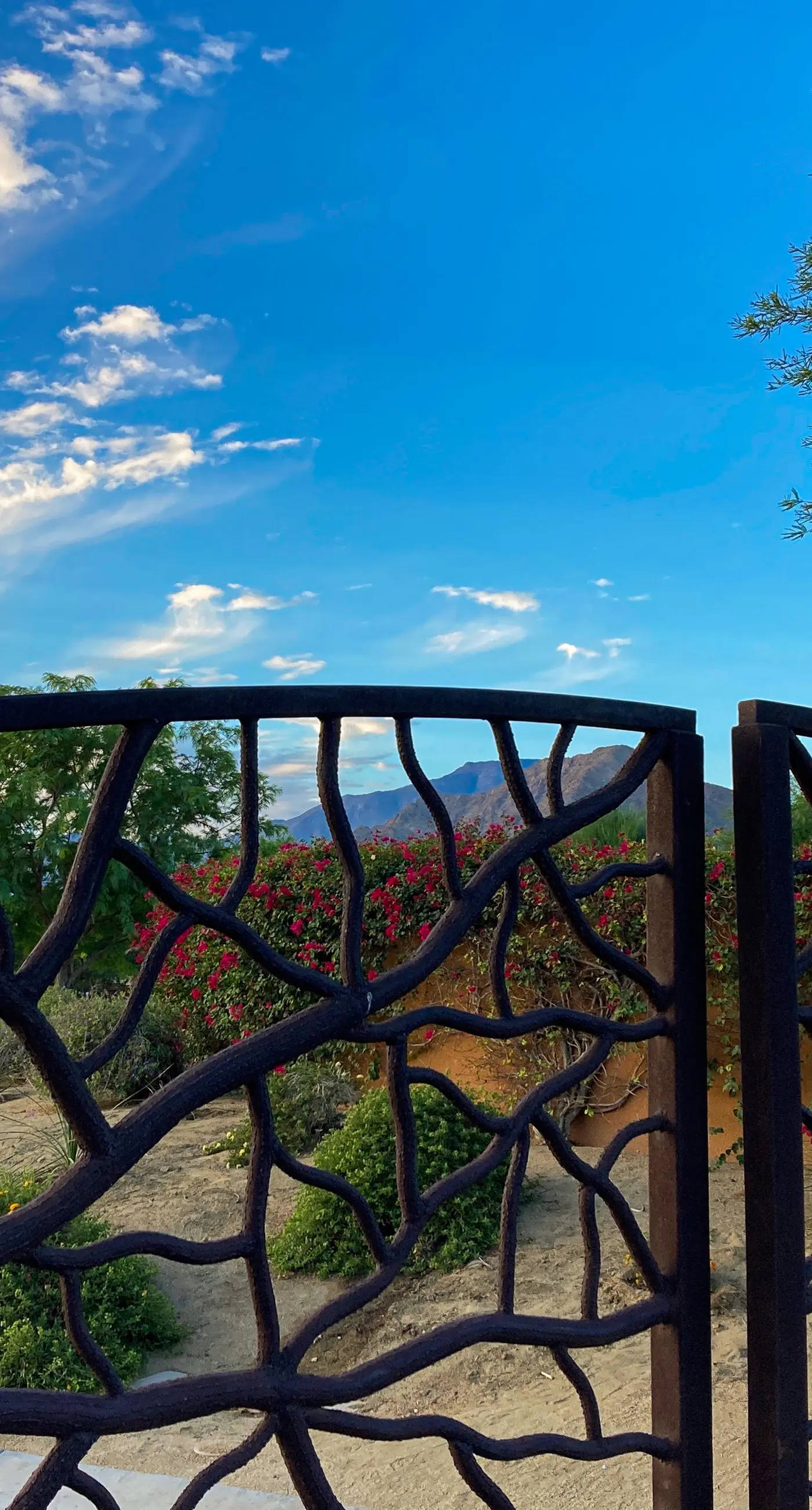 Lakeside Luxe at Palmilla