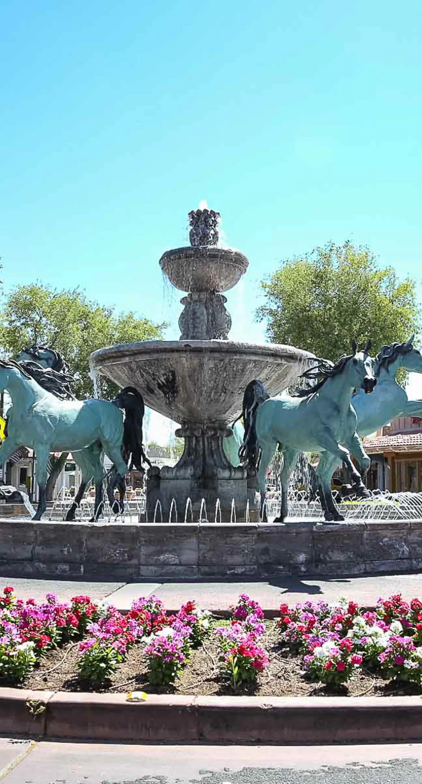 Historic Oldtown Plaza 201