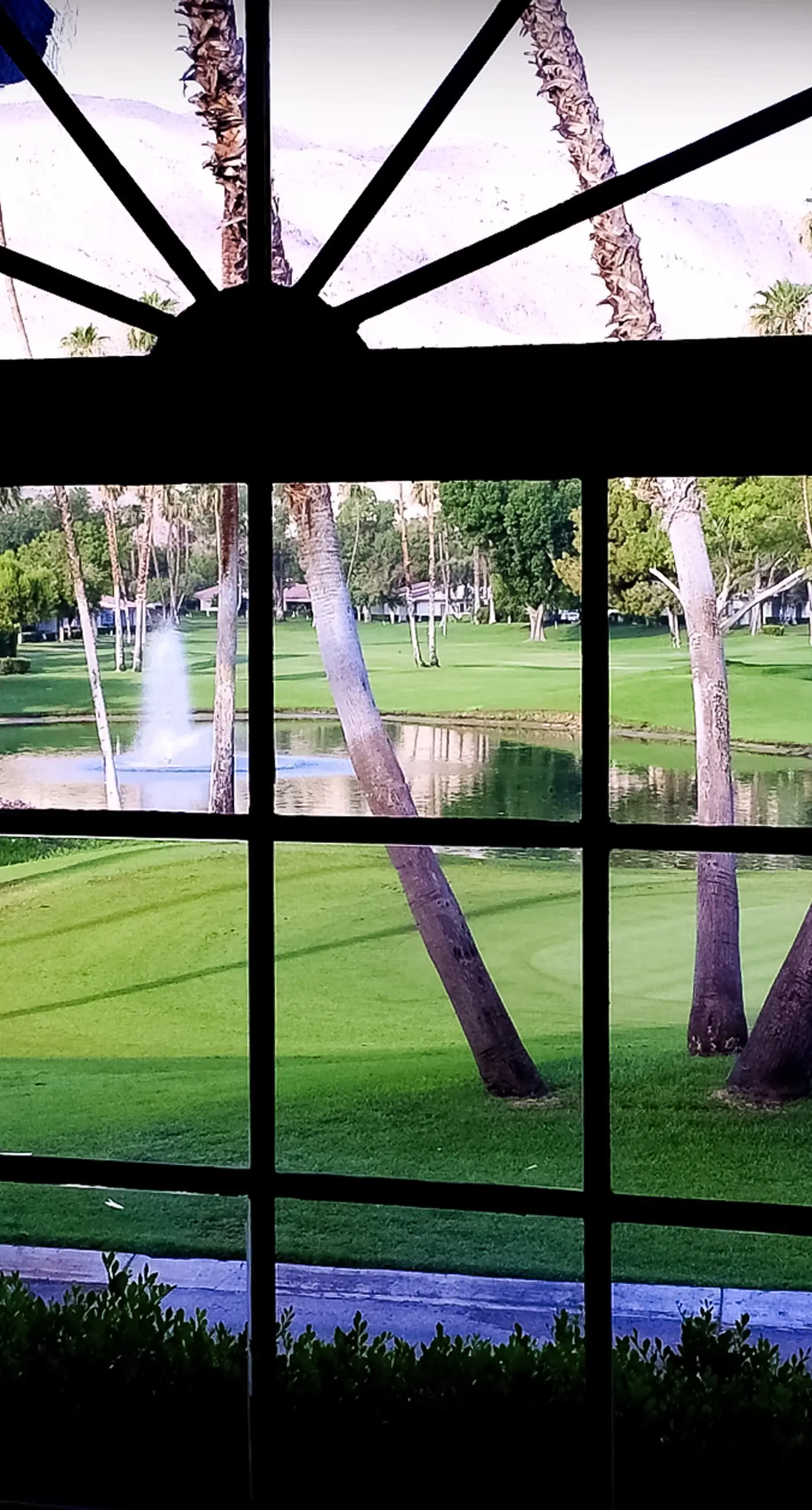 Rancho Palm Paradise