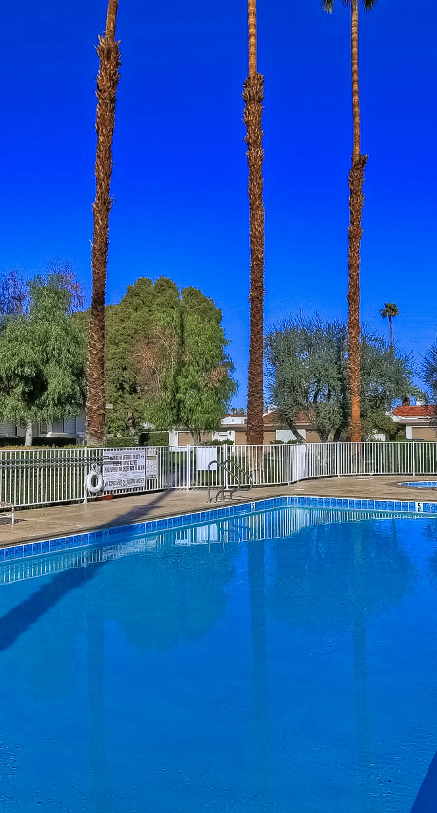 Rancho Palm Paradise