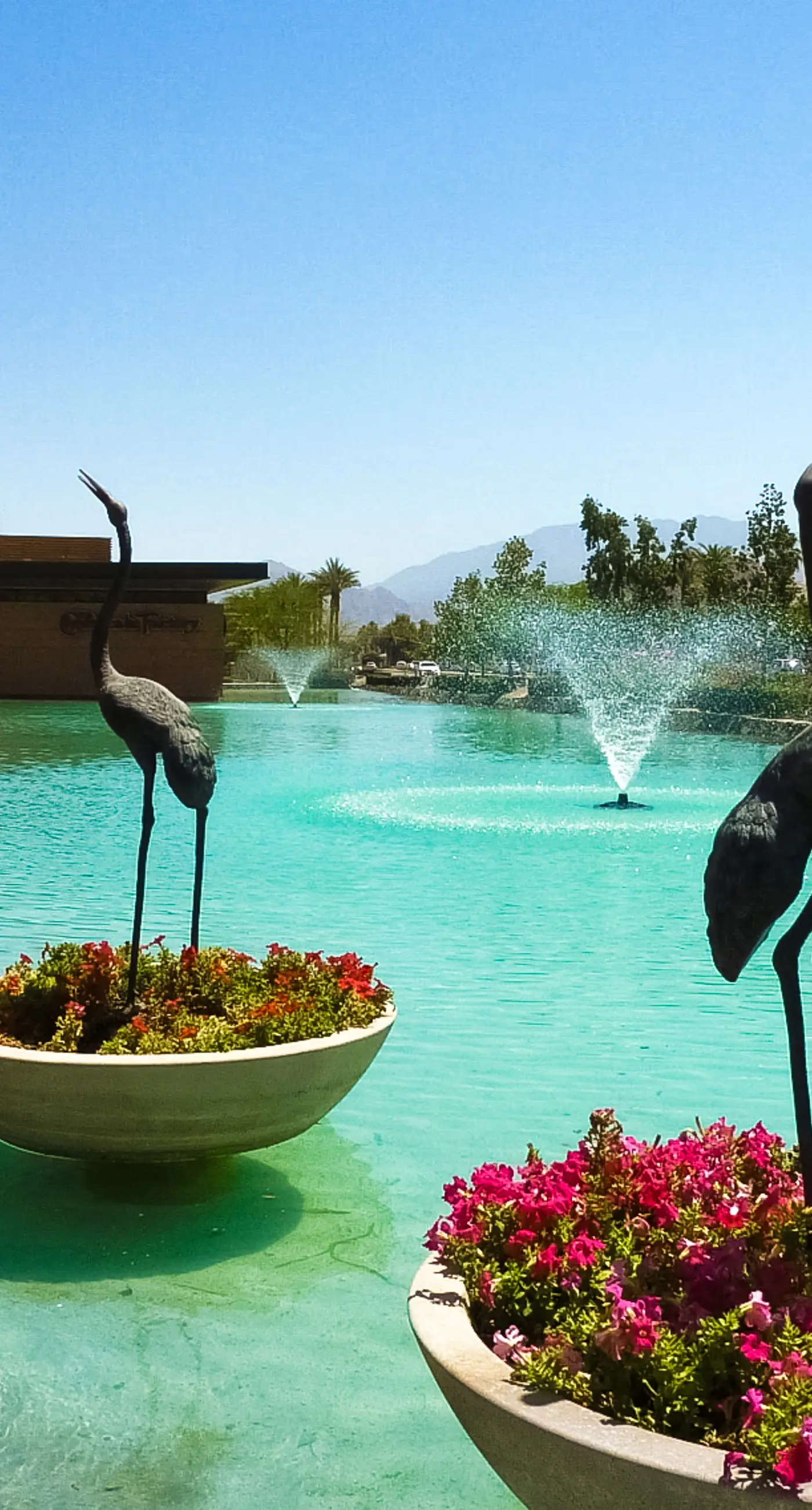 Rancho Palm Paradise