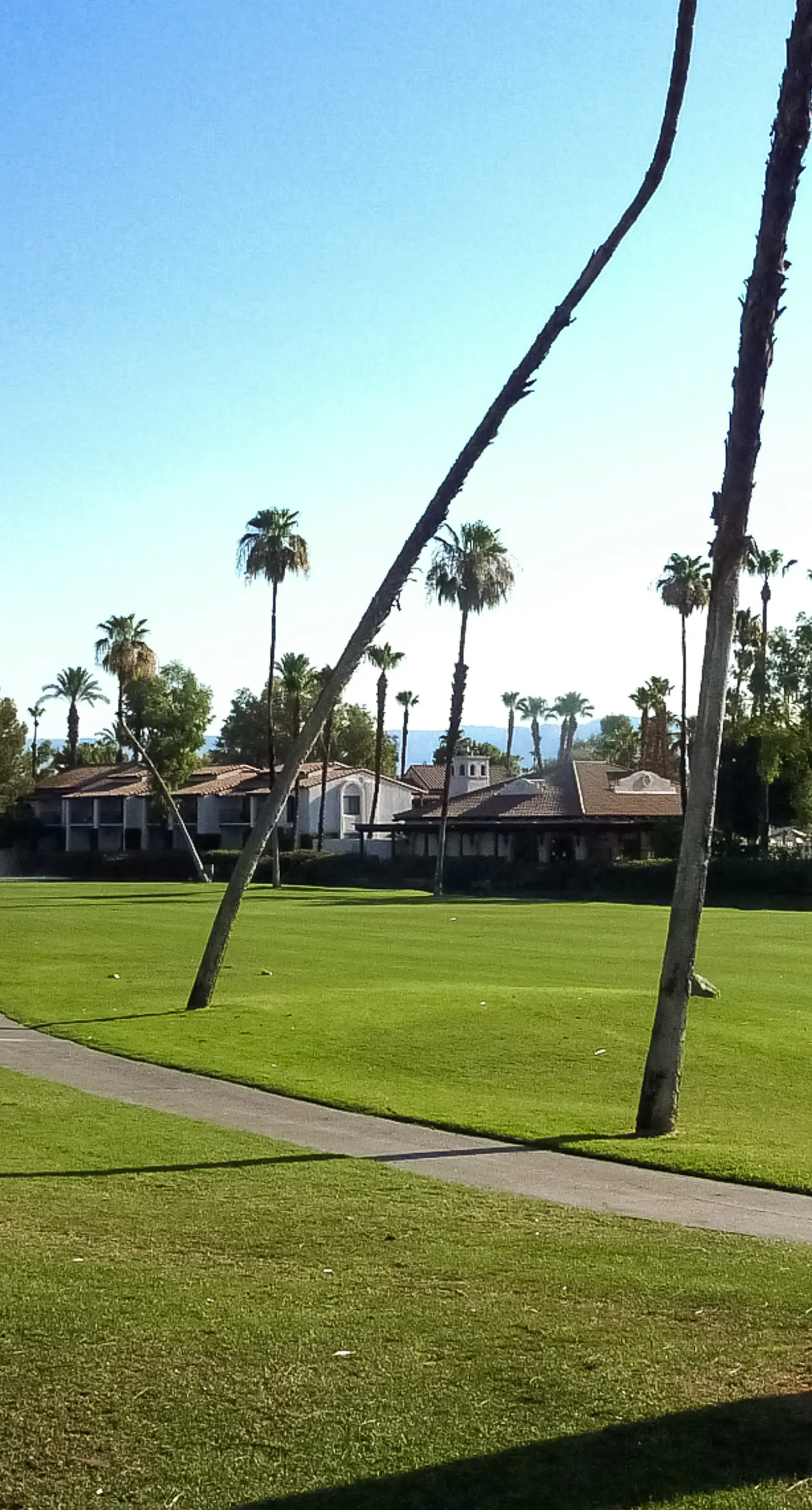 Rancho Palm Paradise