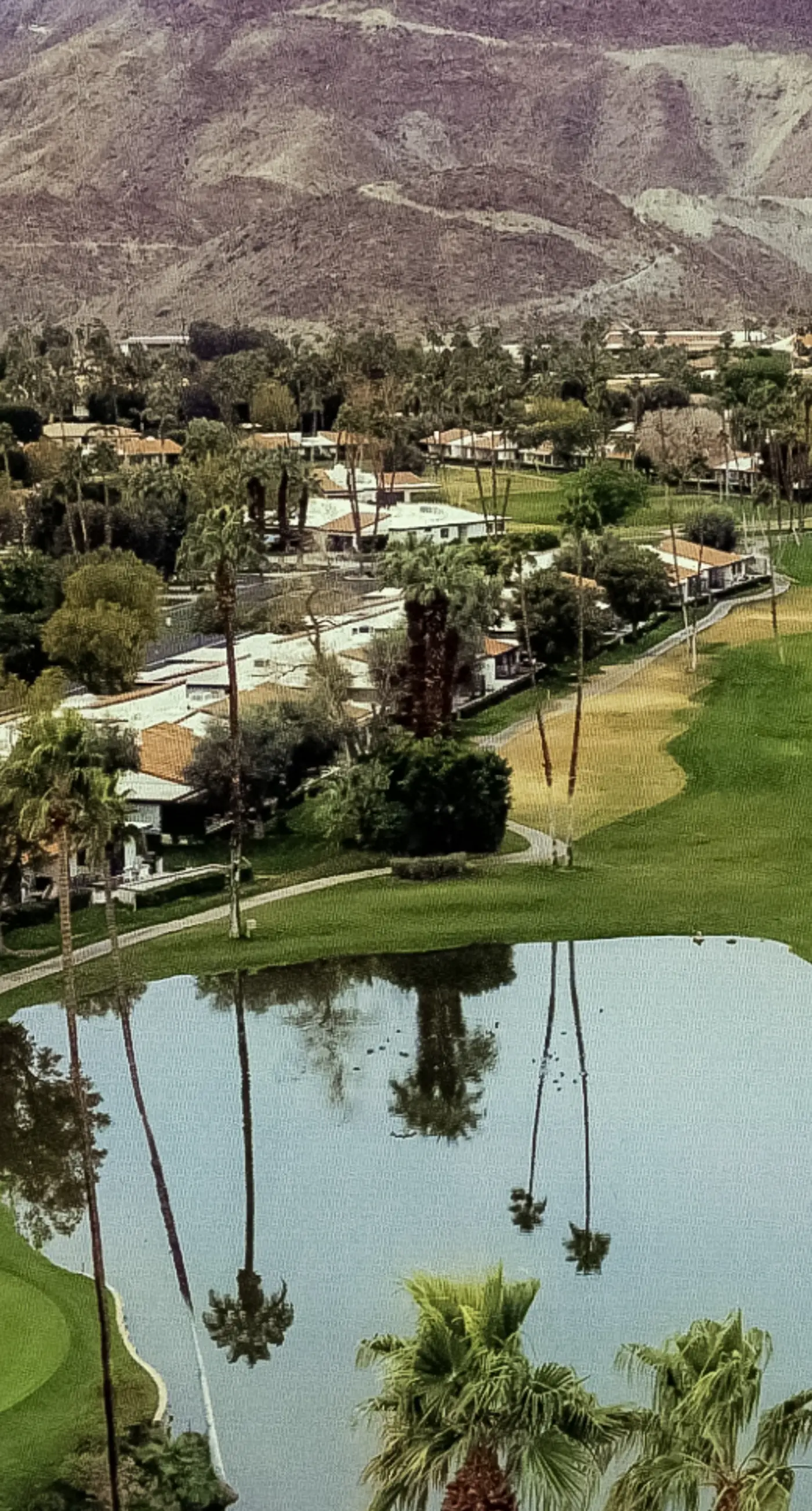 Rancho Palm Paradise