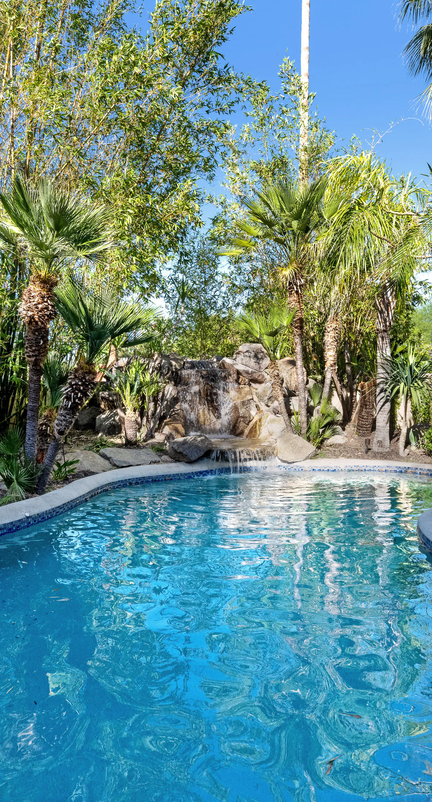 Phoenix Manor