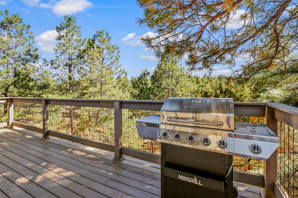 Polished Mountain Home with Fireplaces, Decks, WiFi & Forest View - 2 Dogs OK