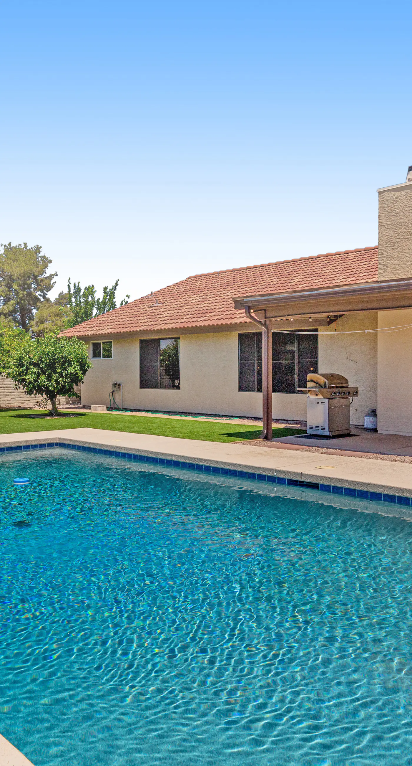 The Mesa Oasis