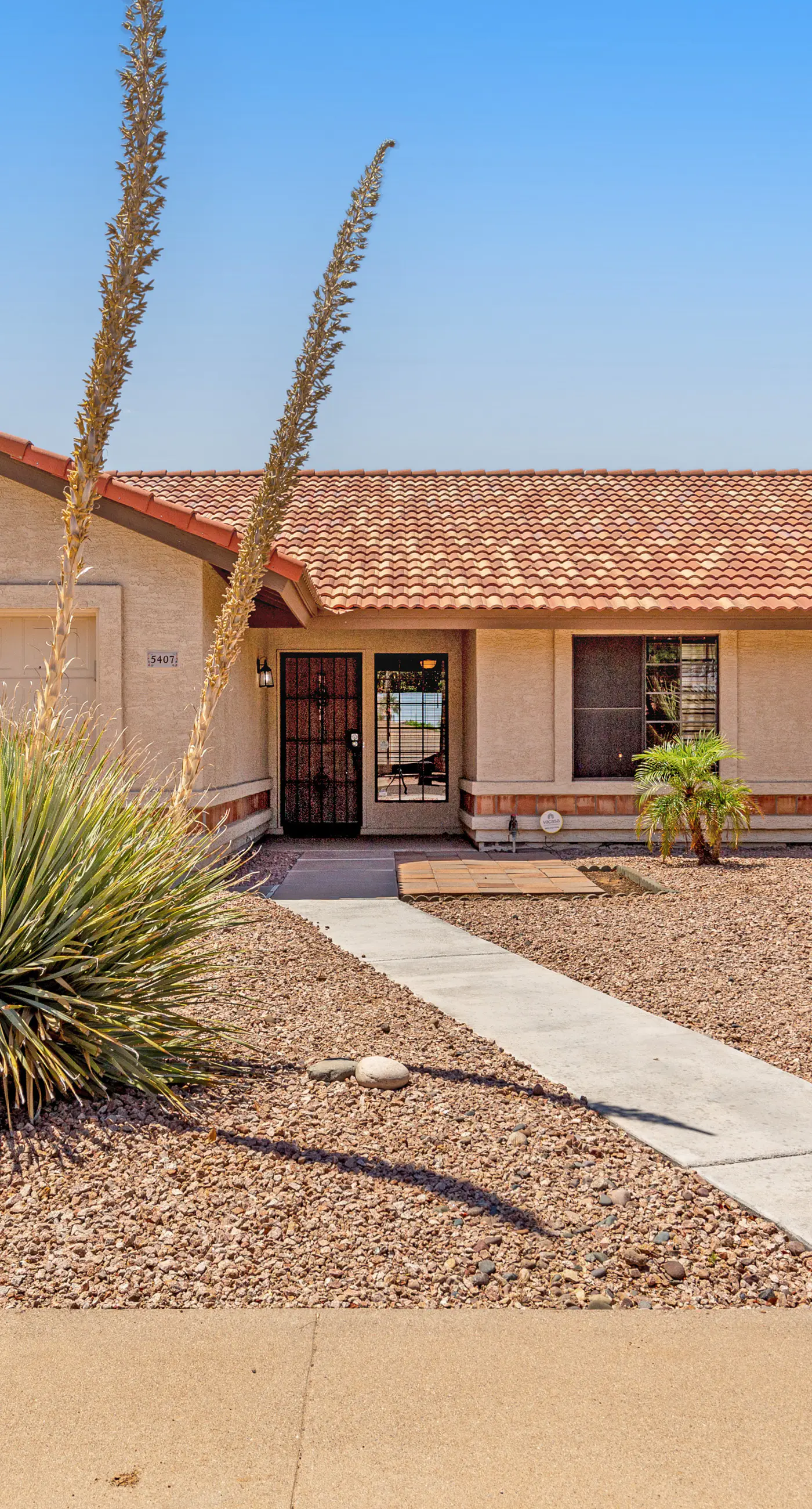 The Mesa Oasis