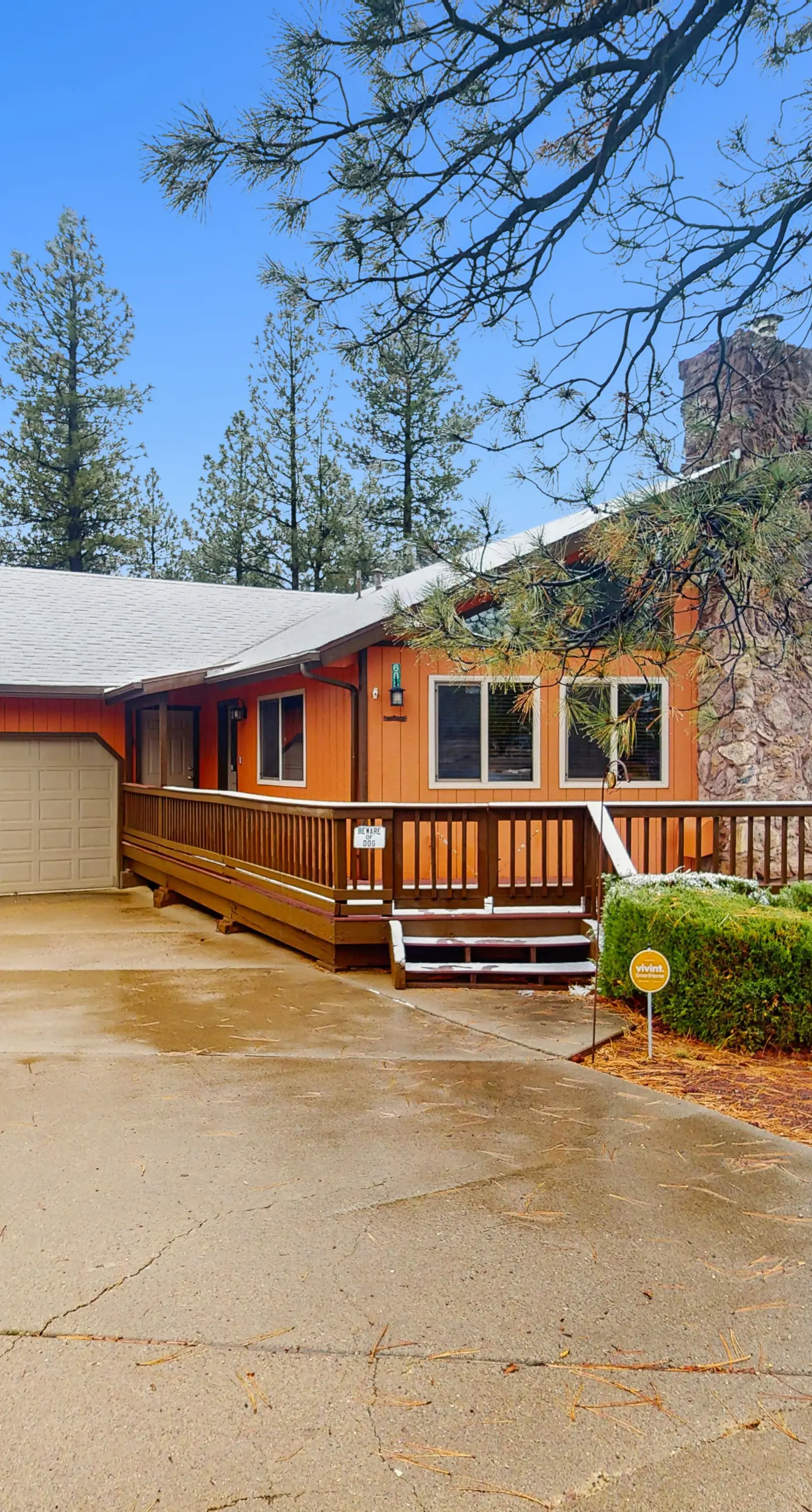 Pine-Perfect Getaway