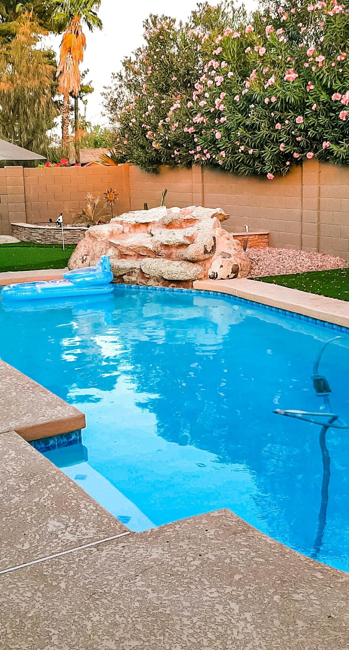 Scottsdale's Charmer