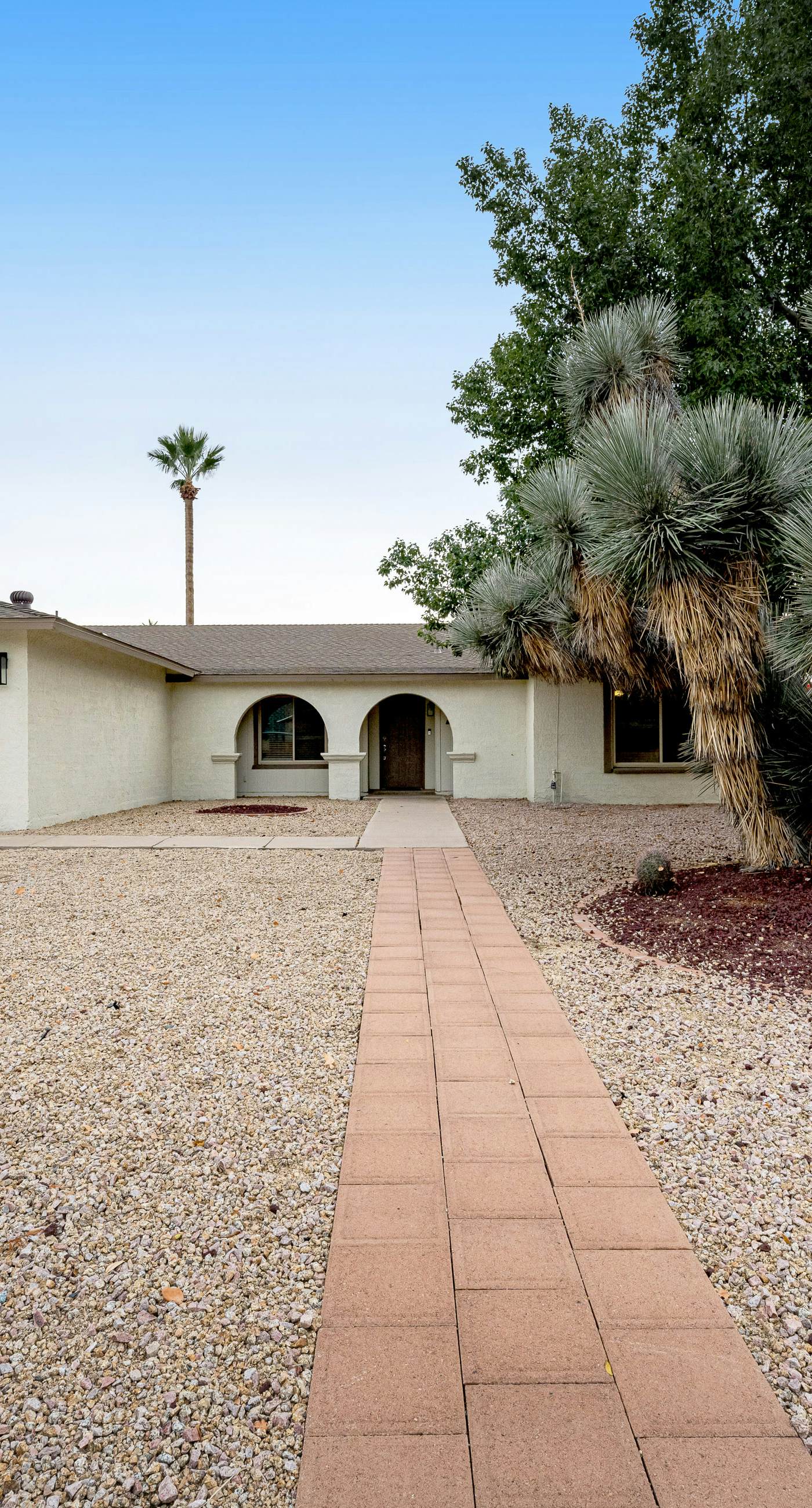 Scottsdale's Charmer