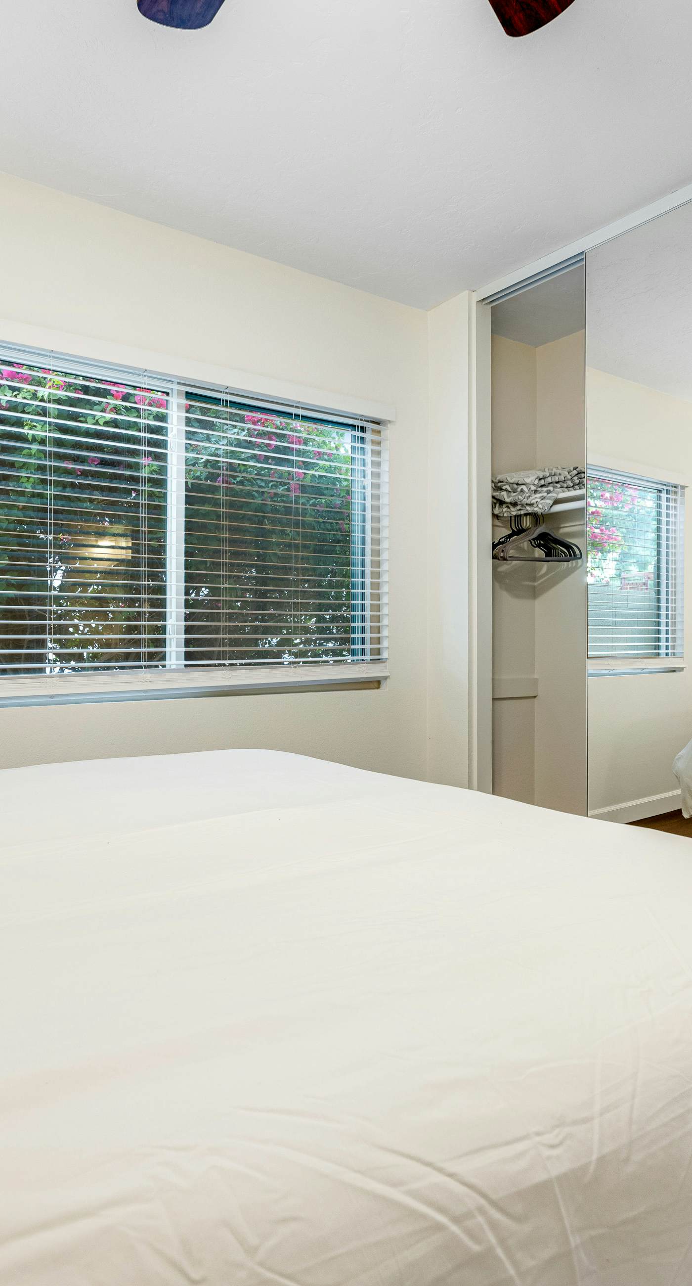 Scottsdale's Charmer