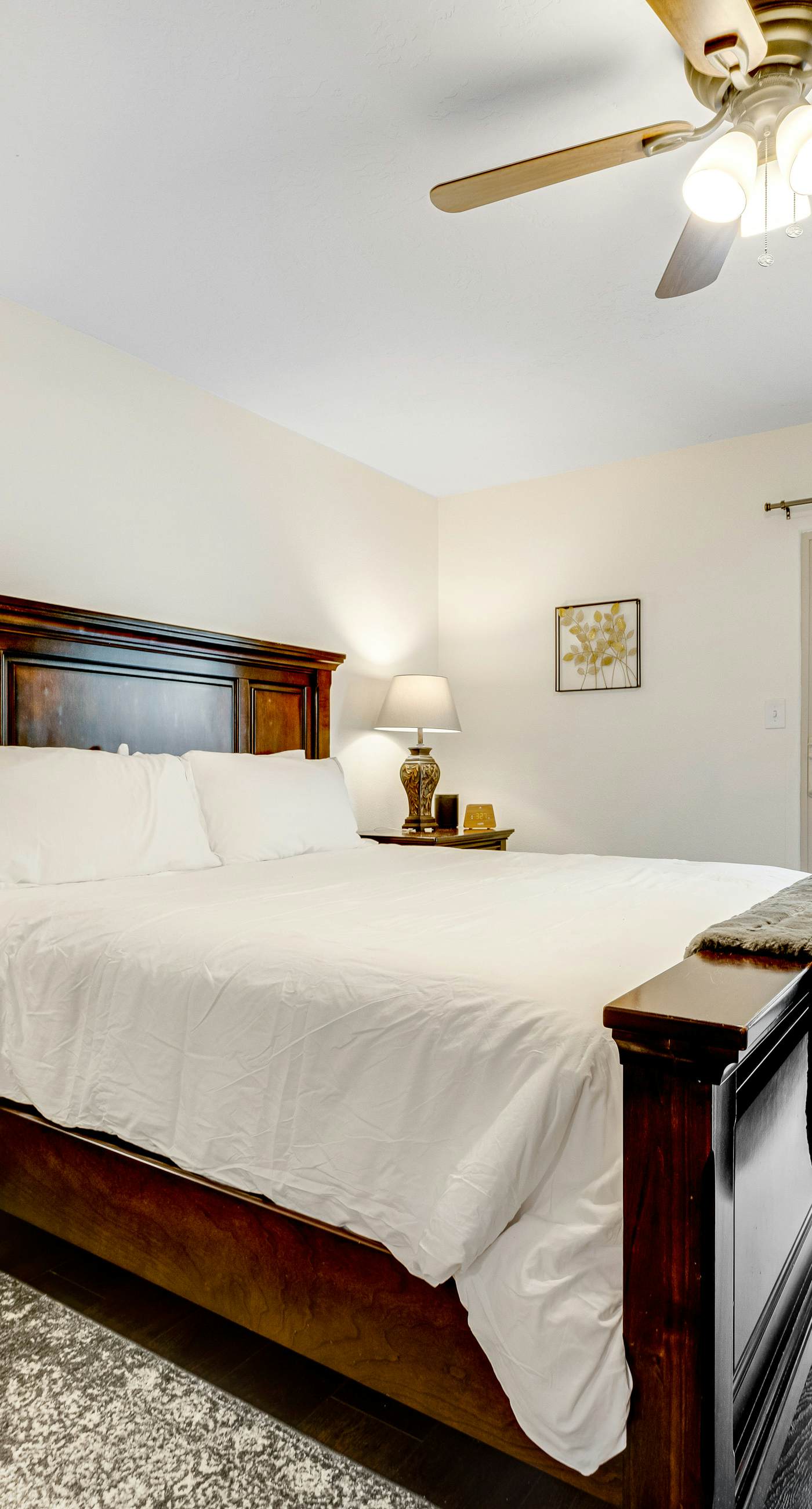 Scottsdale's Charmer