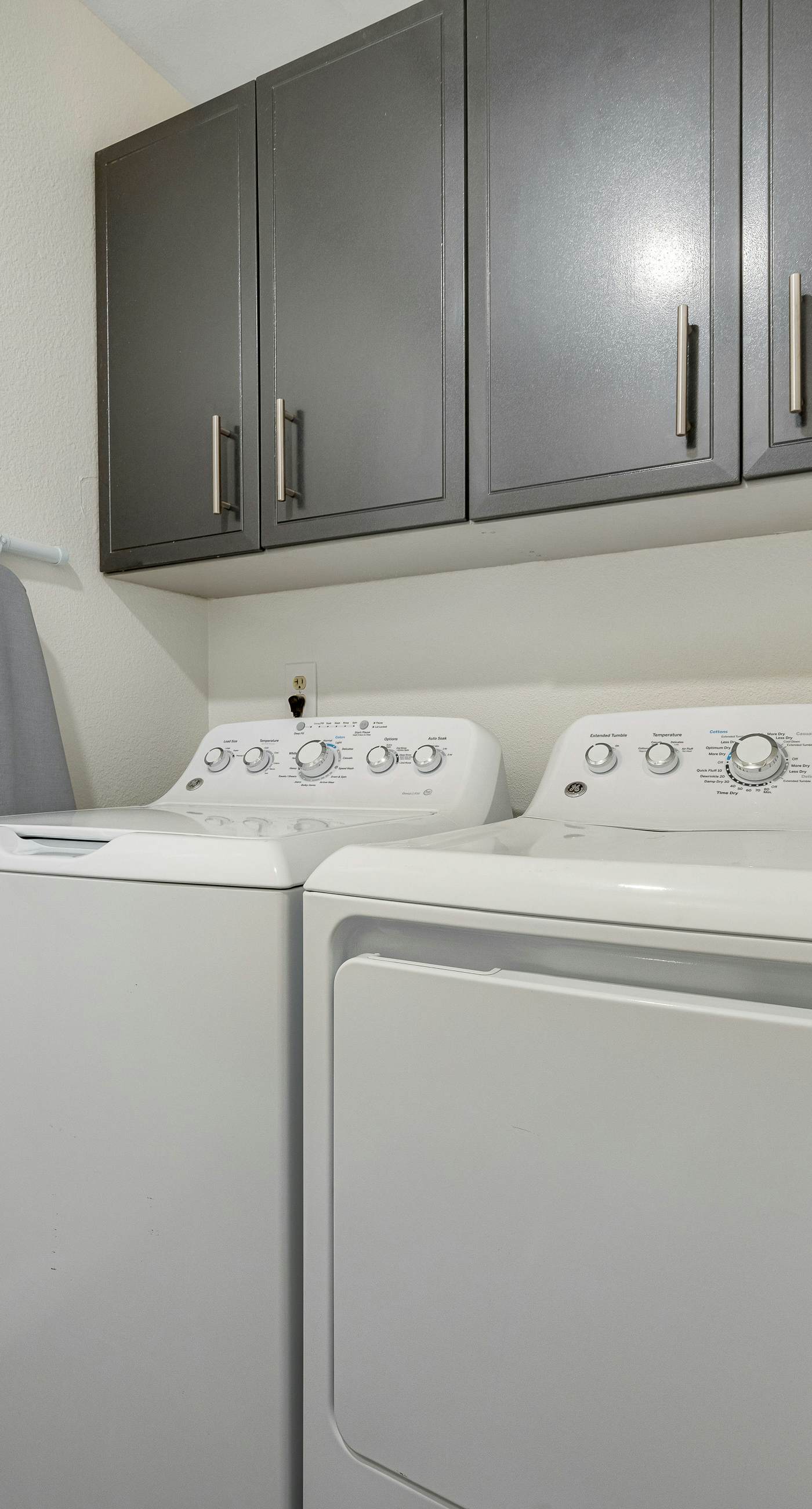 Scottsdale's Charmer