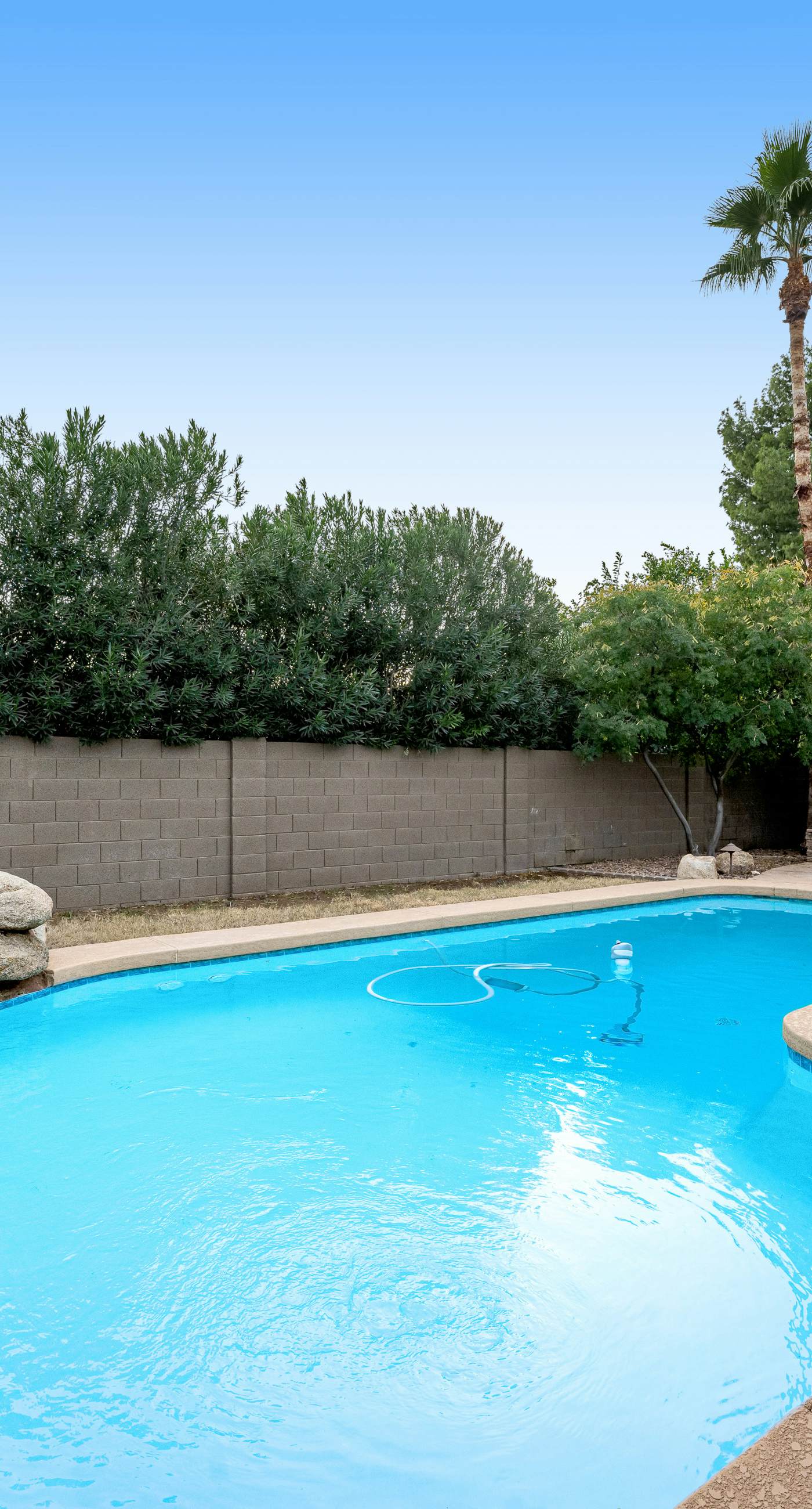 Scottsdale's Charmer