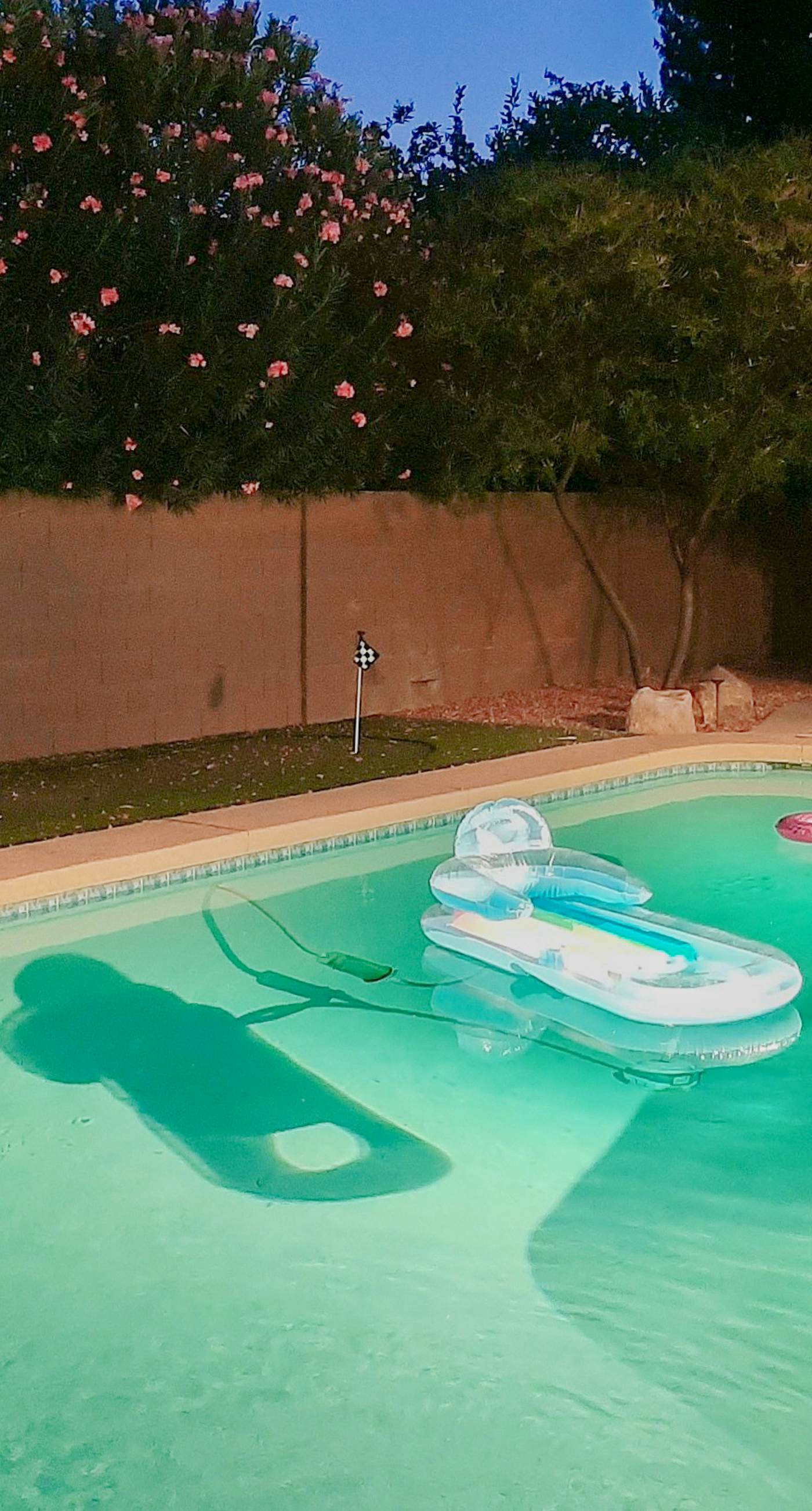 Scottsdale's Charmer