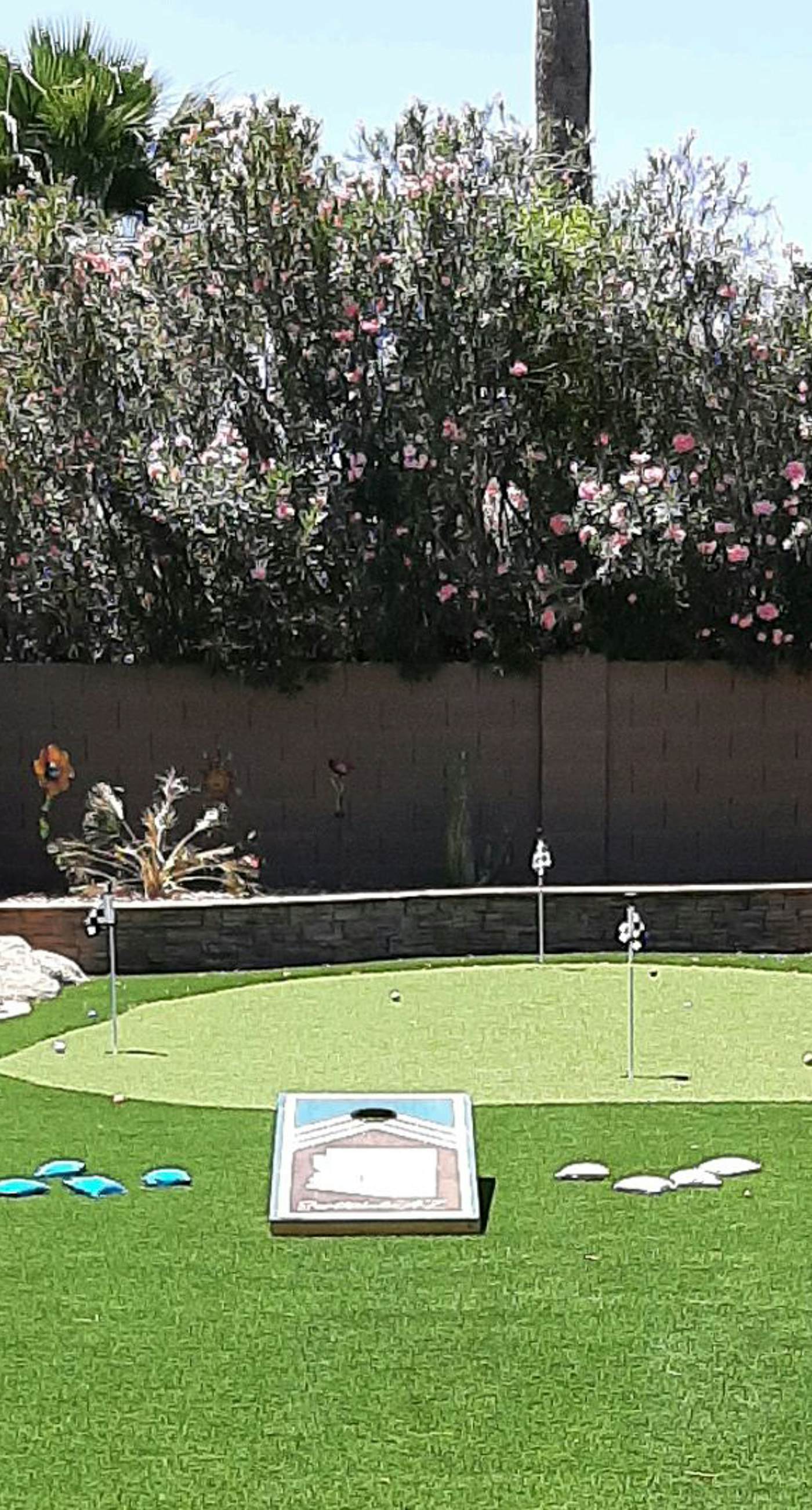 Scottsdale's Charmer