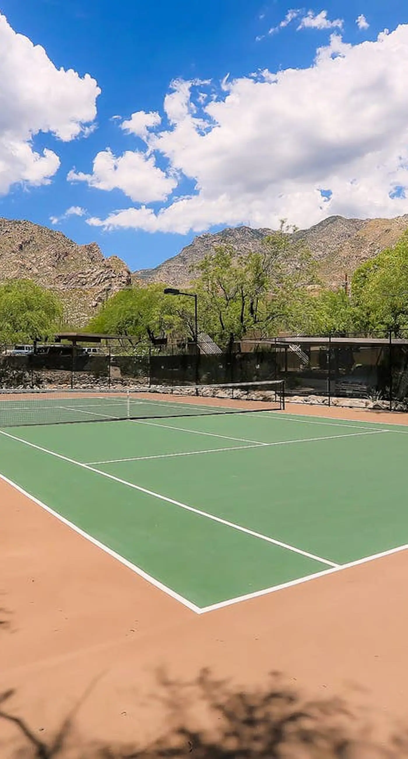 Canyon View #15205