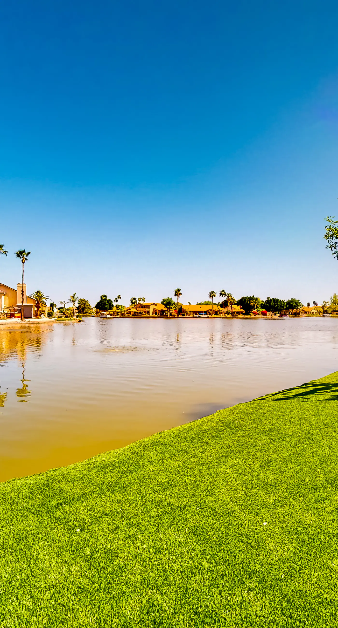 Lake in the Desert