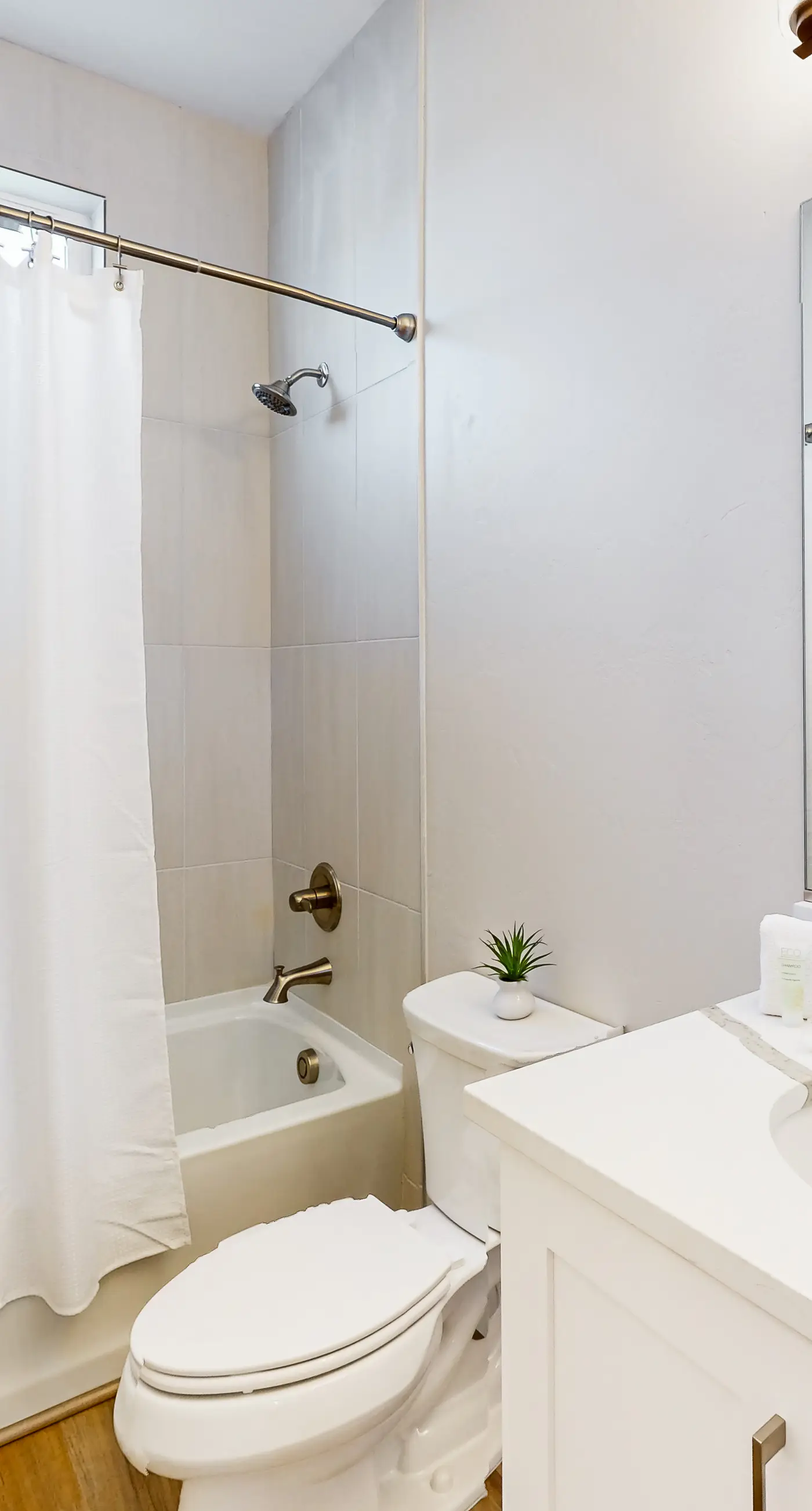 Placita Escondida #100