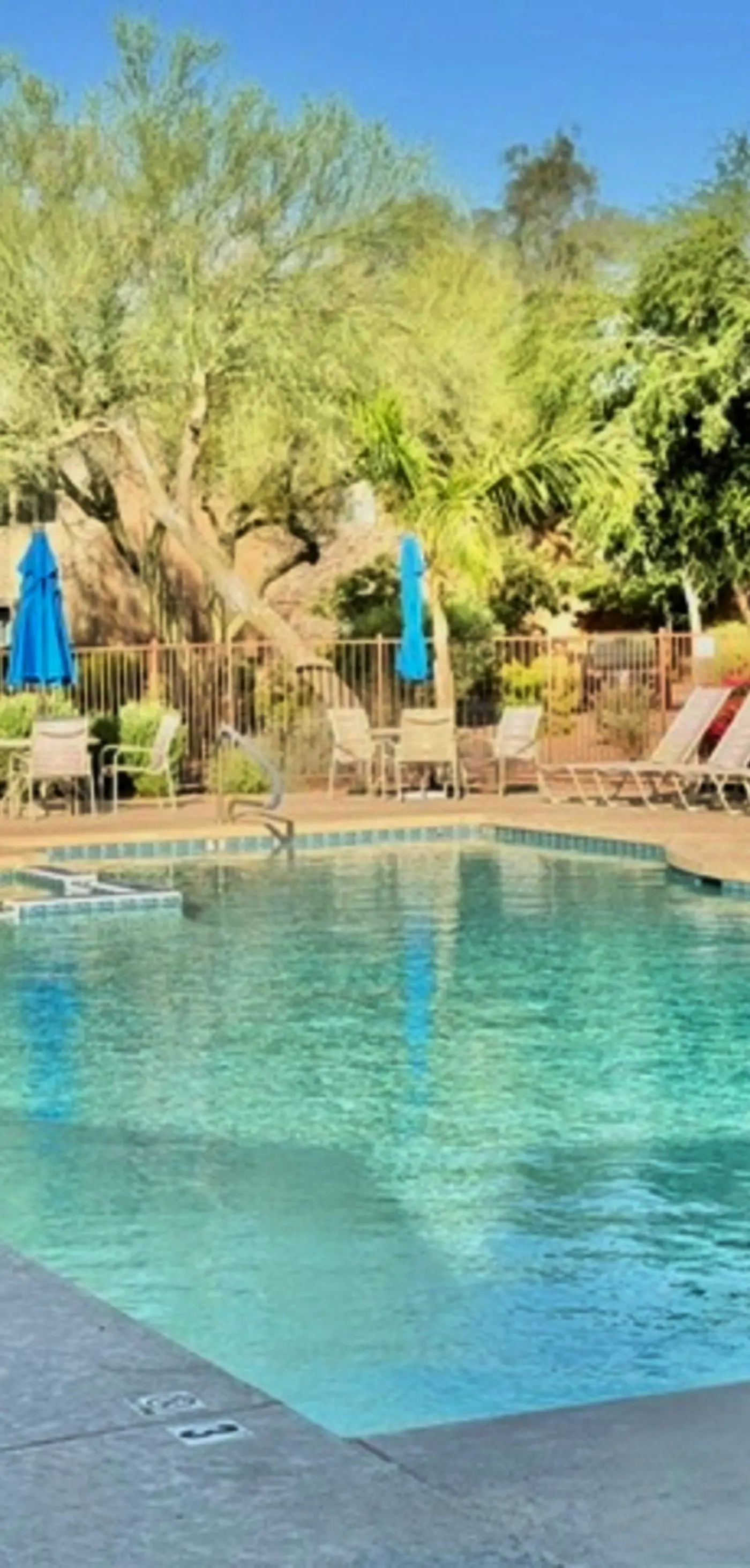 Scottsdale Serenity