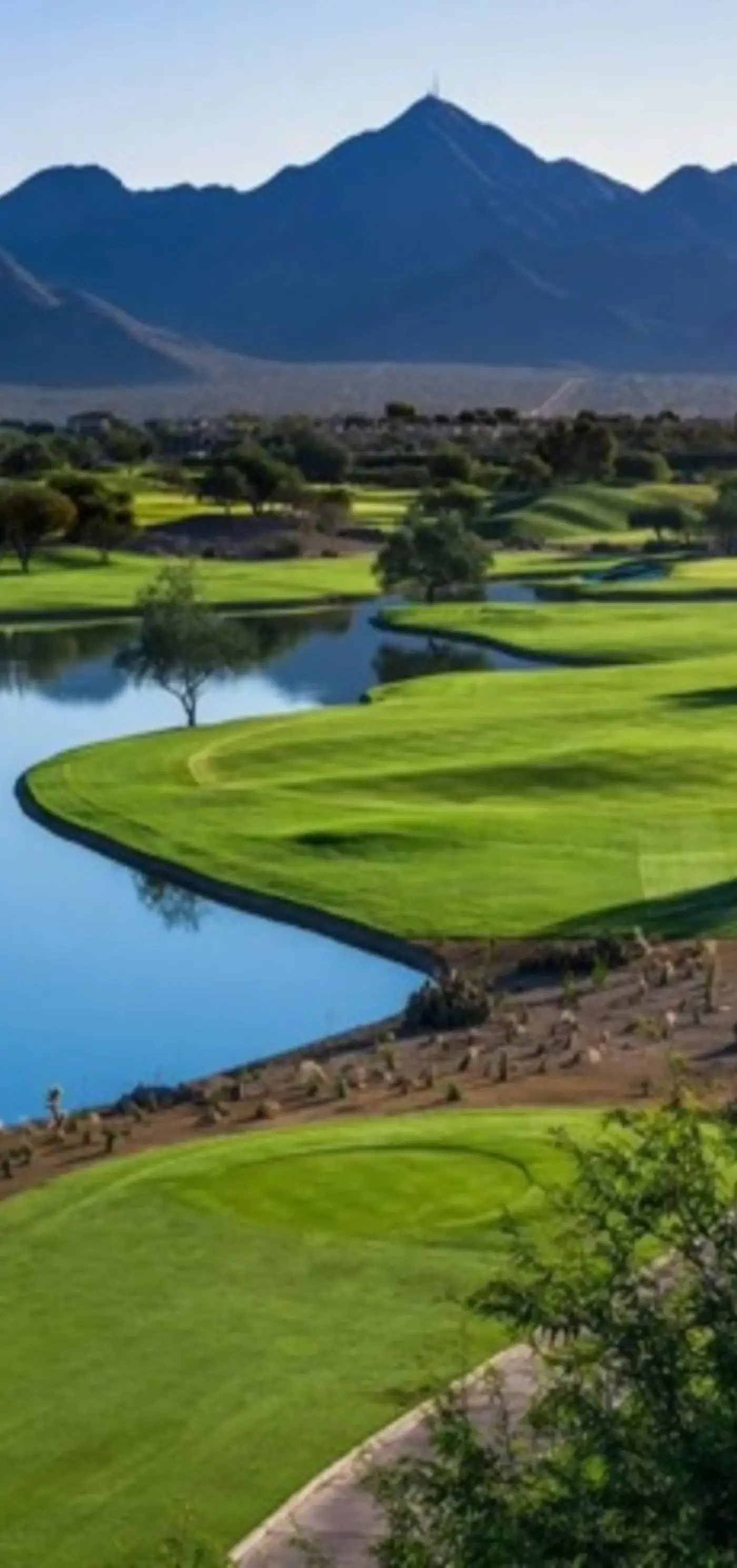 Scottsdale Serenity