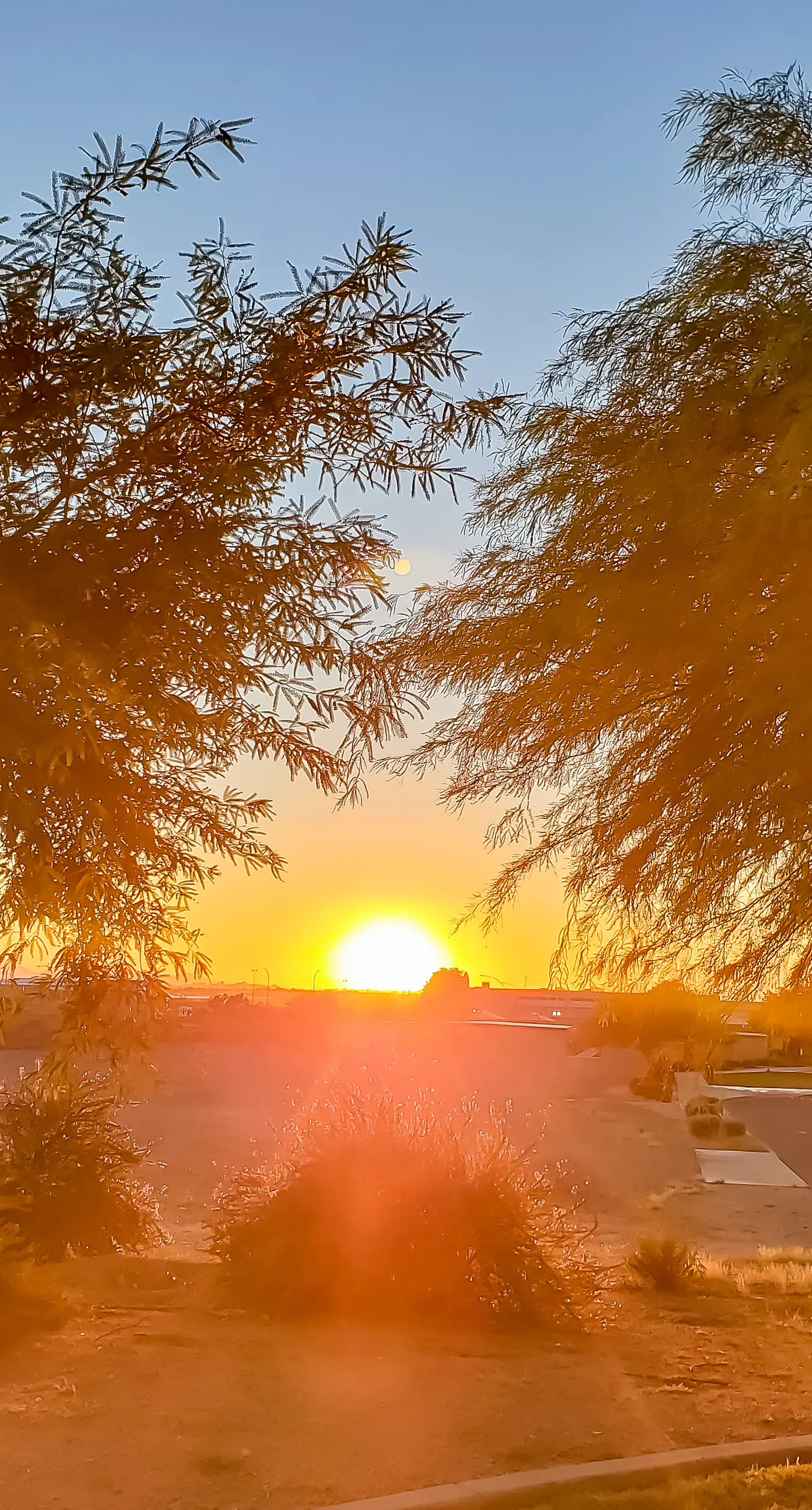 Mesa Resort