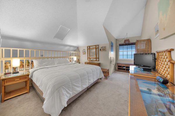 Views of Space X - Heron's Sea Cottage and just minutes from South Padre Island #1040