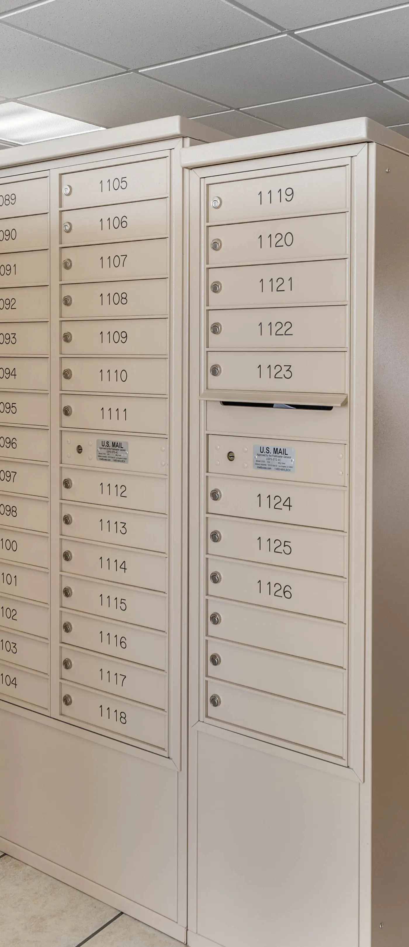 Driftwood Den on Conch #1